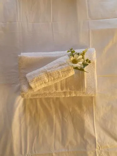 B&b Trebenoro