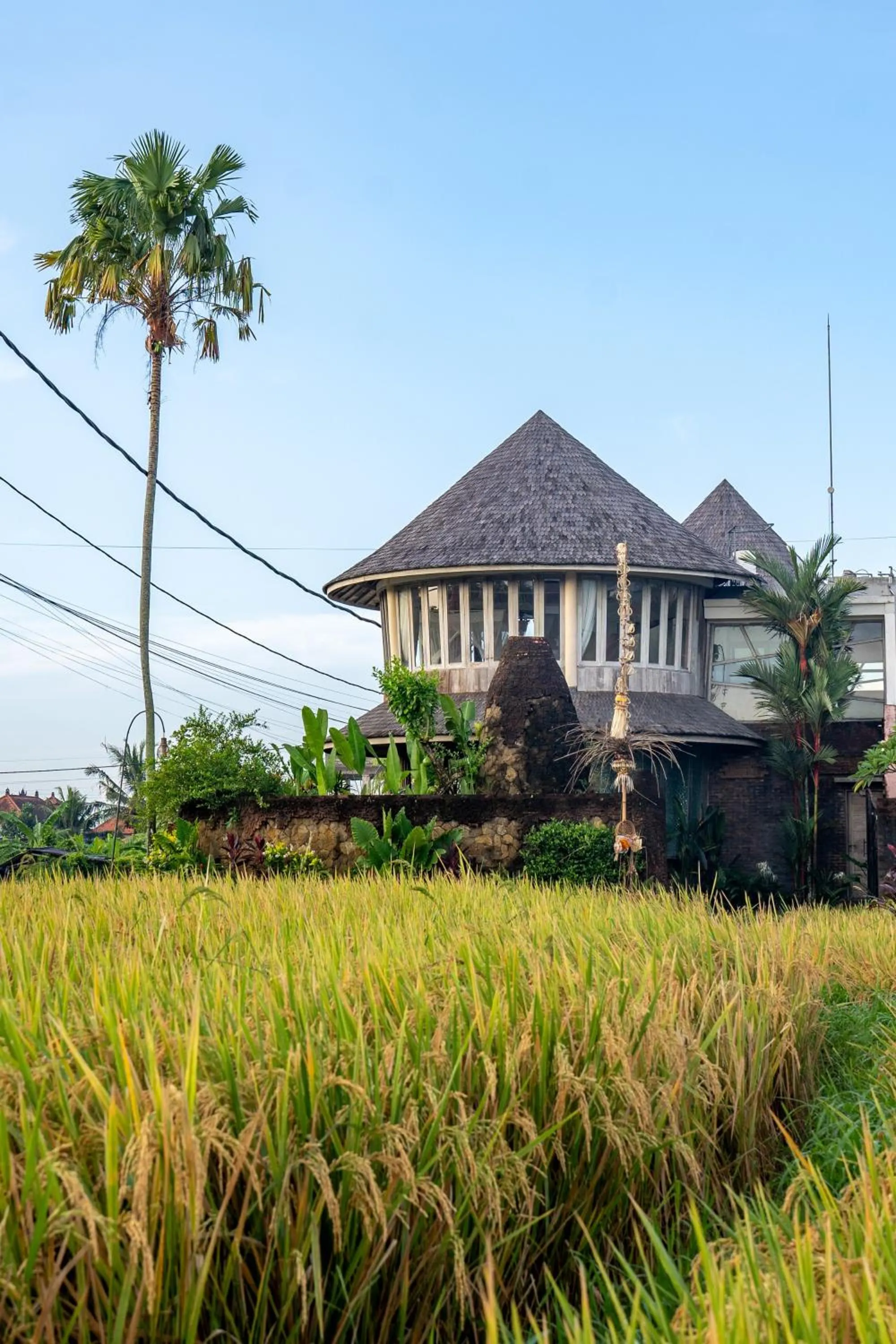 View (from property/room) in Aryaswara Villa Ubud