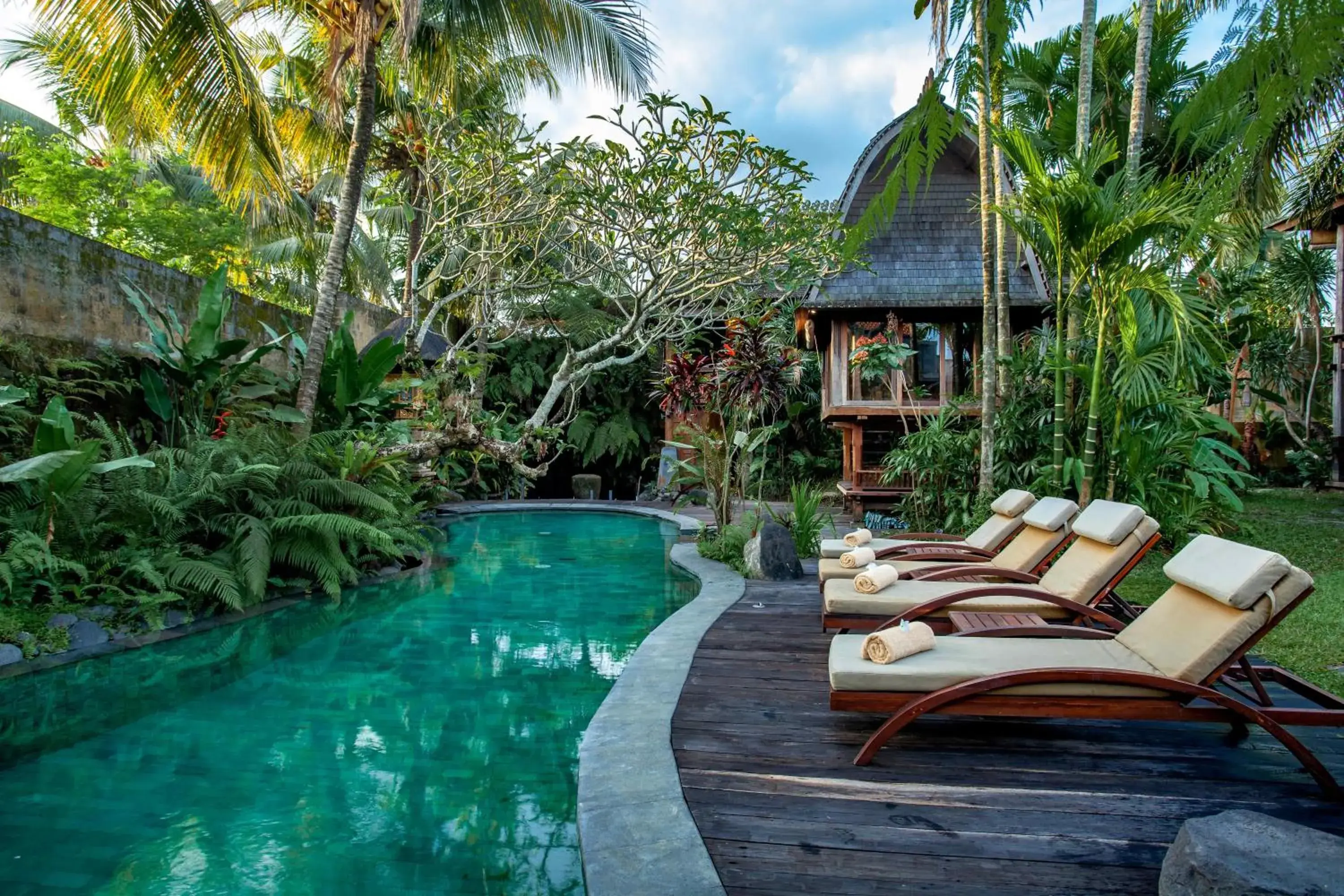 Pool view in Aryaswara Villa Ubud Pool view in Aryaswara Villa Ubud