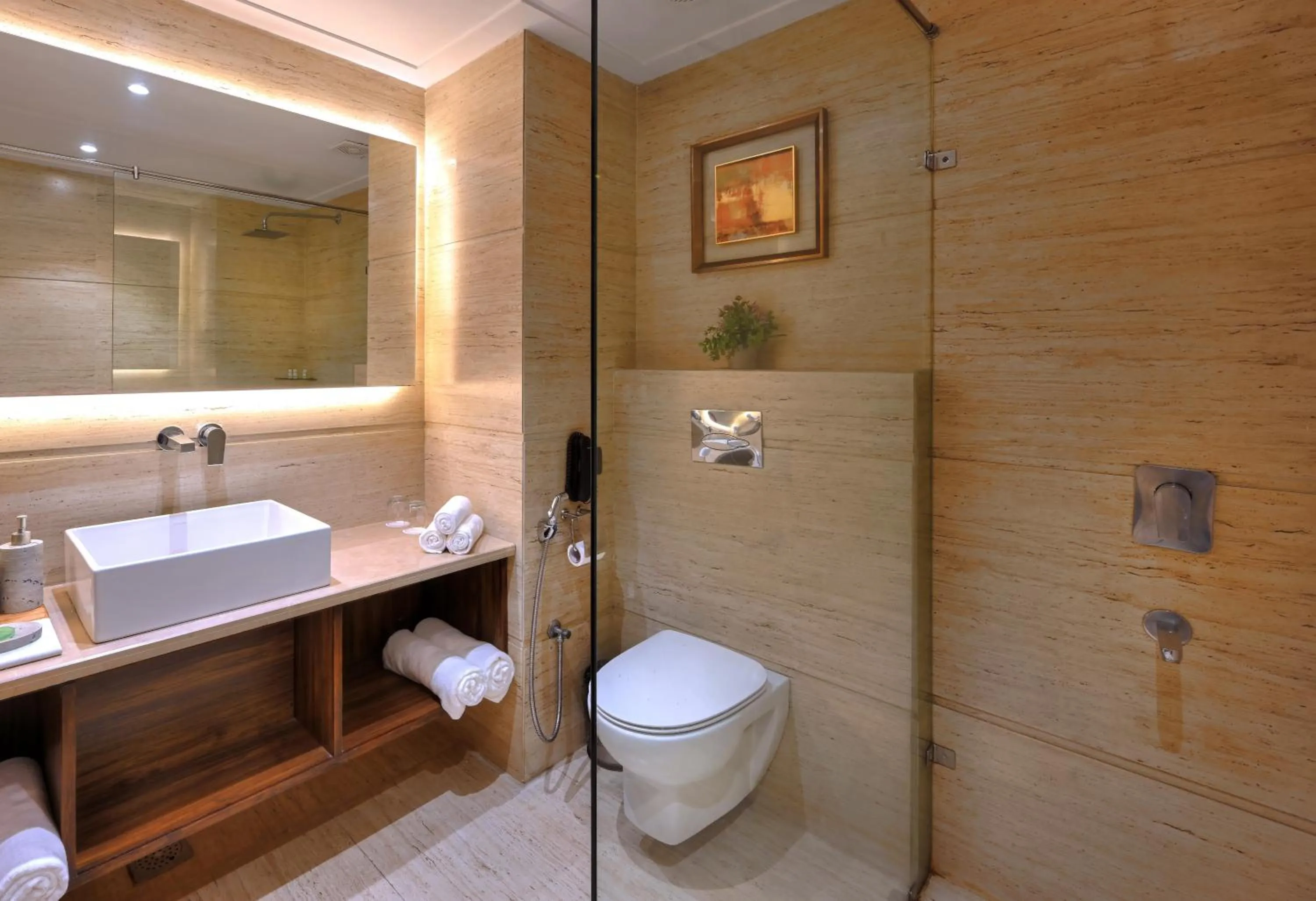 Shower in Hotel Royale Regent