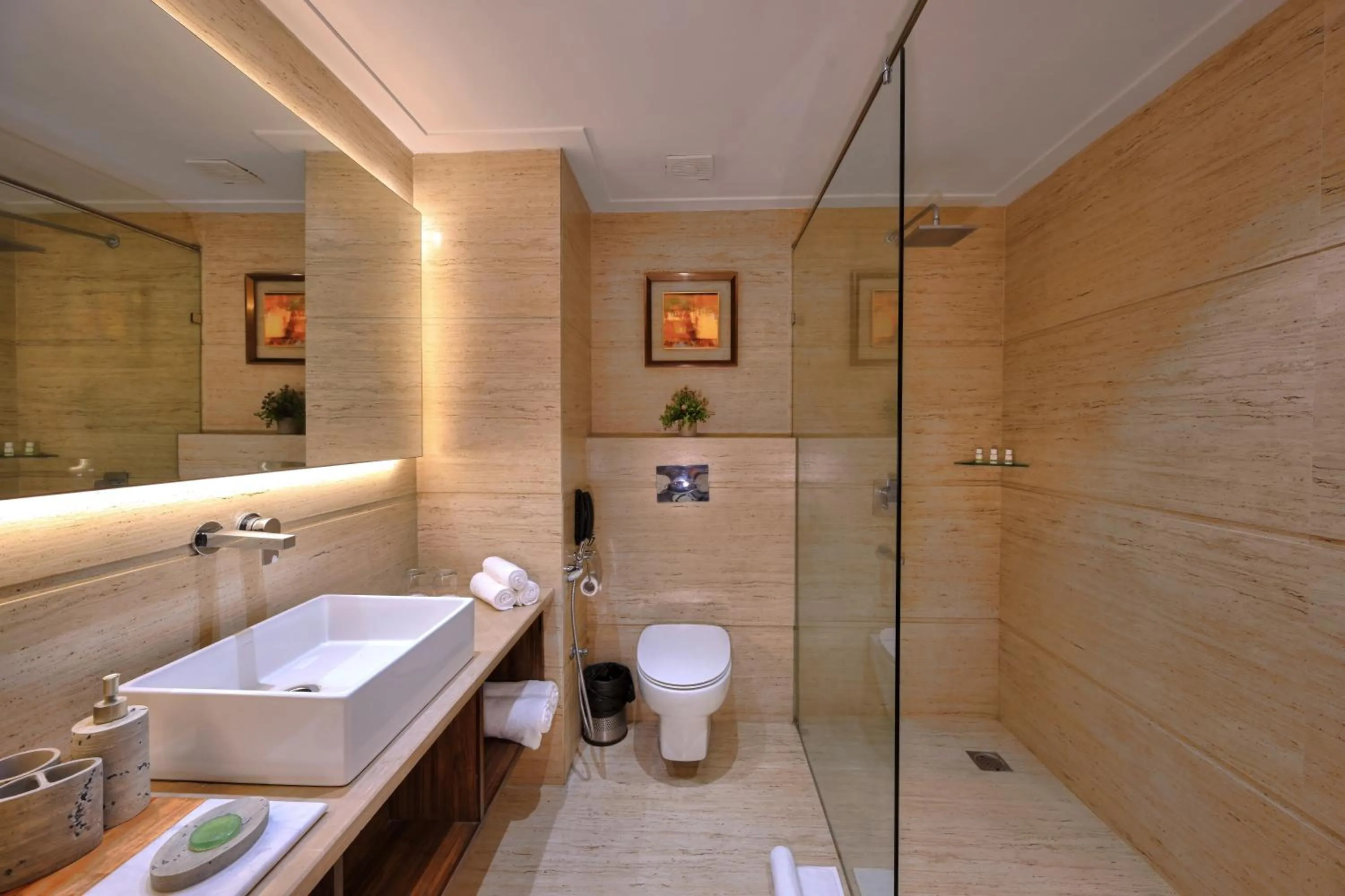 Toilet in Hotel Royale Regent