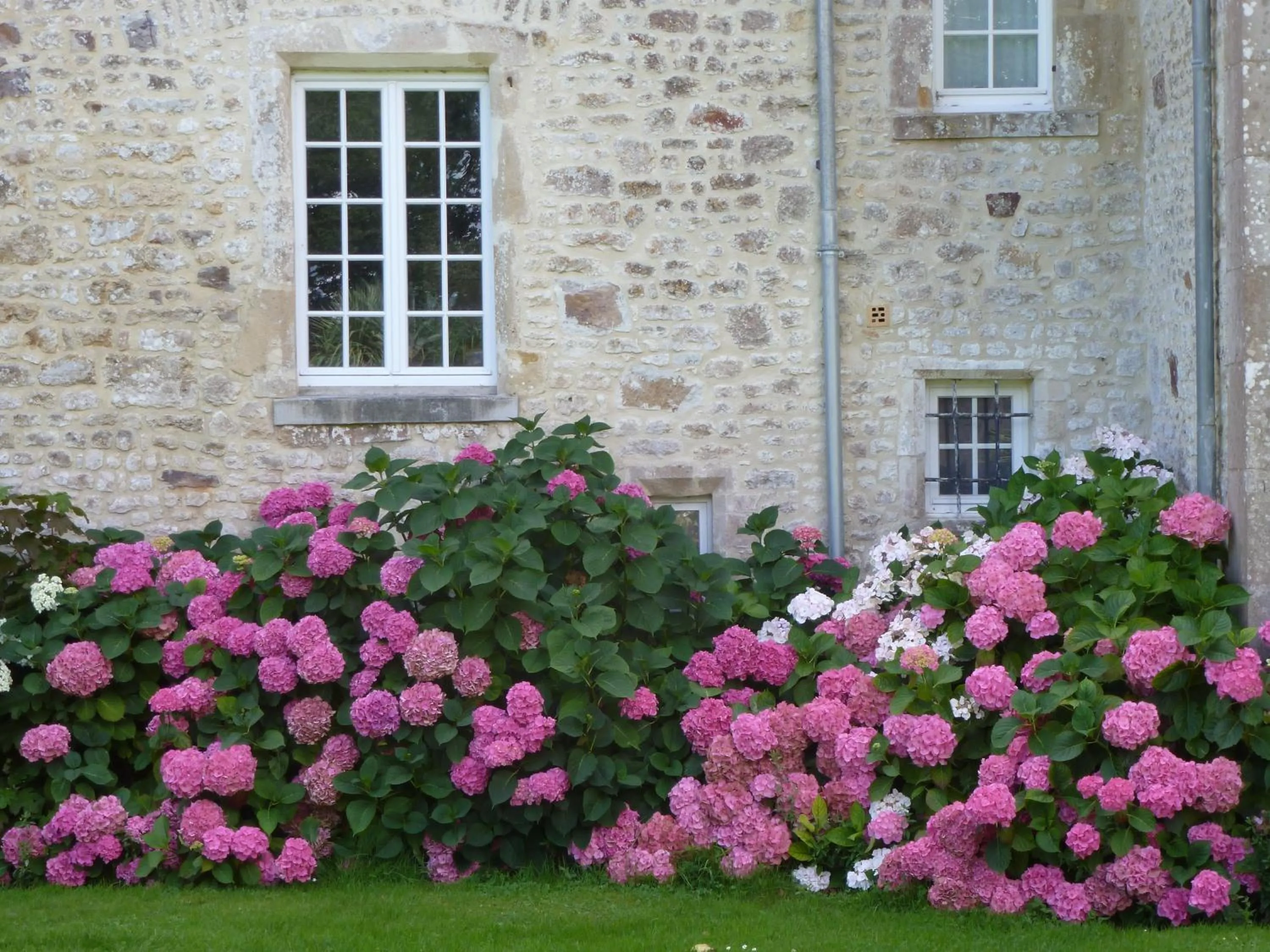 Garden in Manoir De Savigny