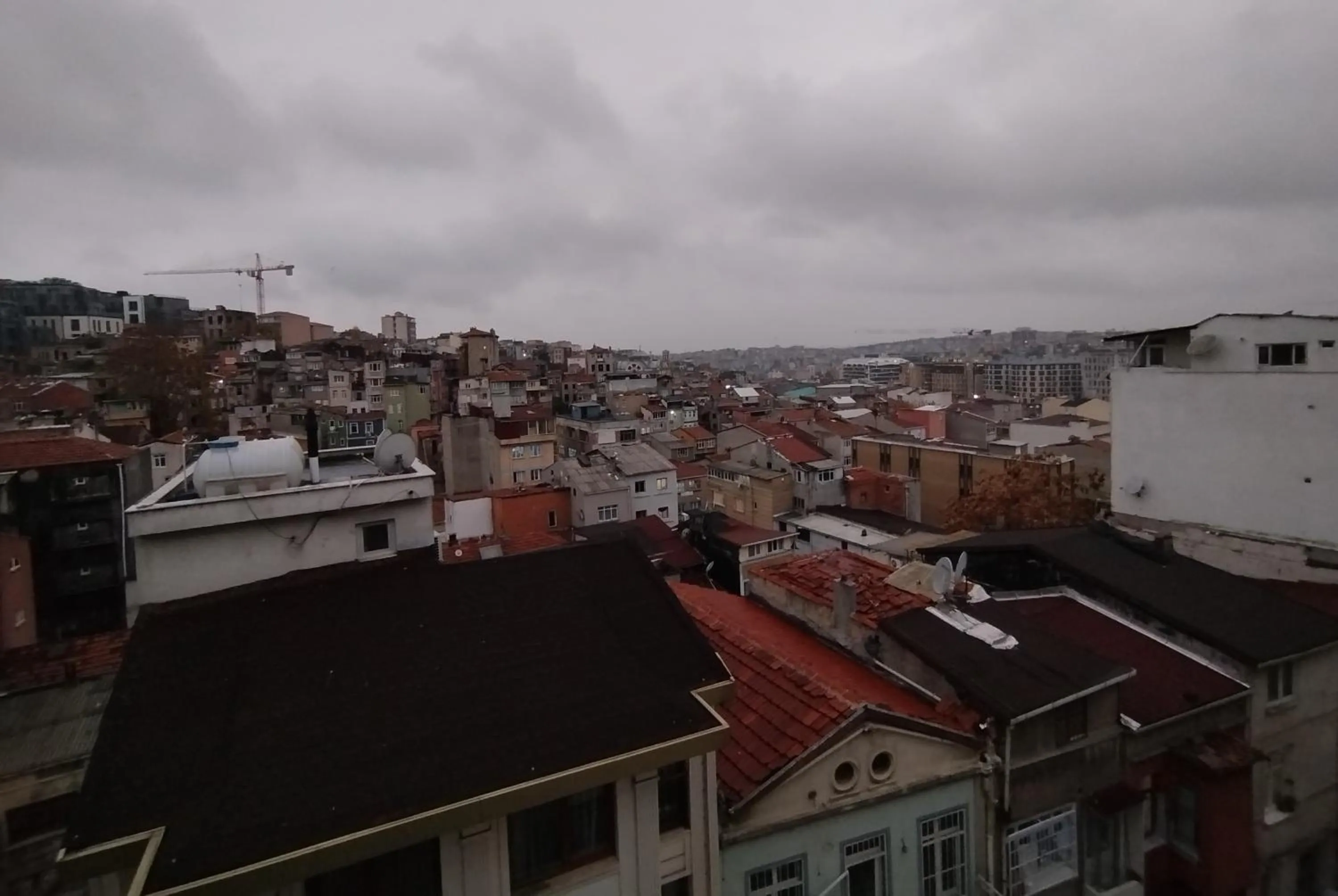 View (from property/room) in ivy hostel cafe