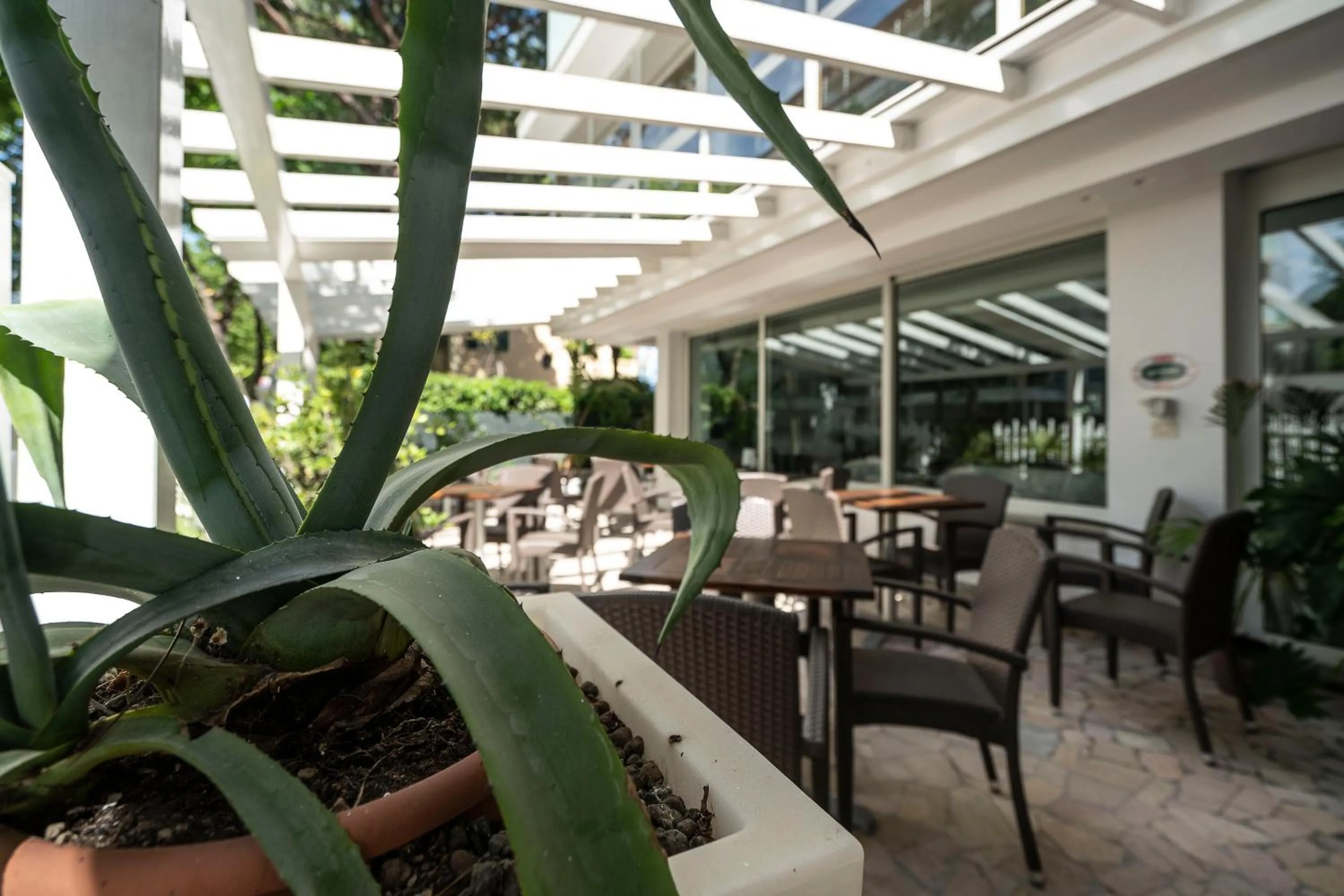 Garden in Hotel Pacific