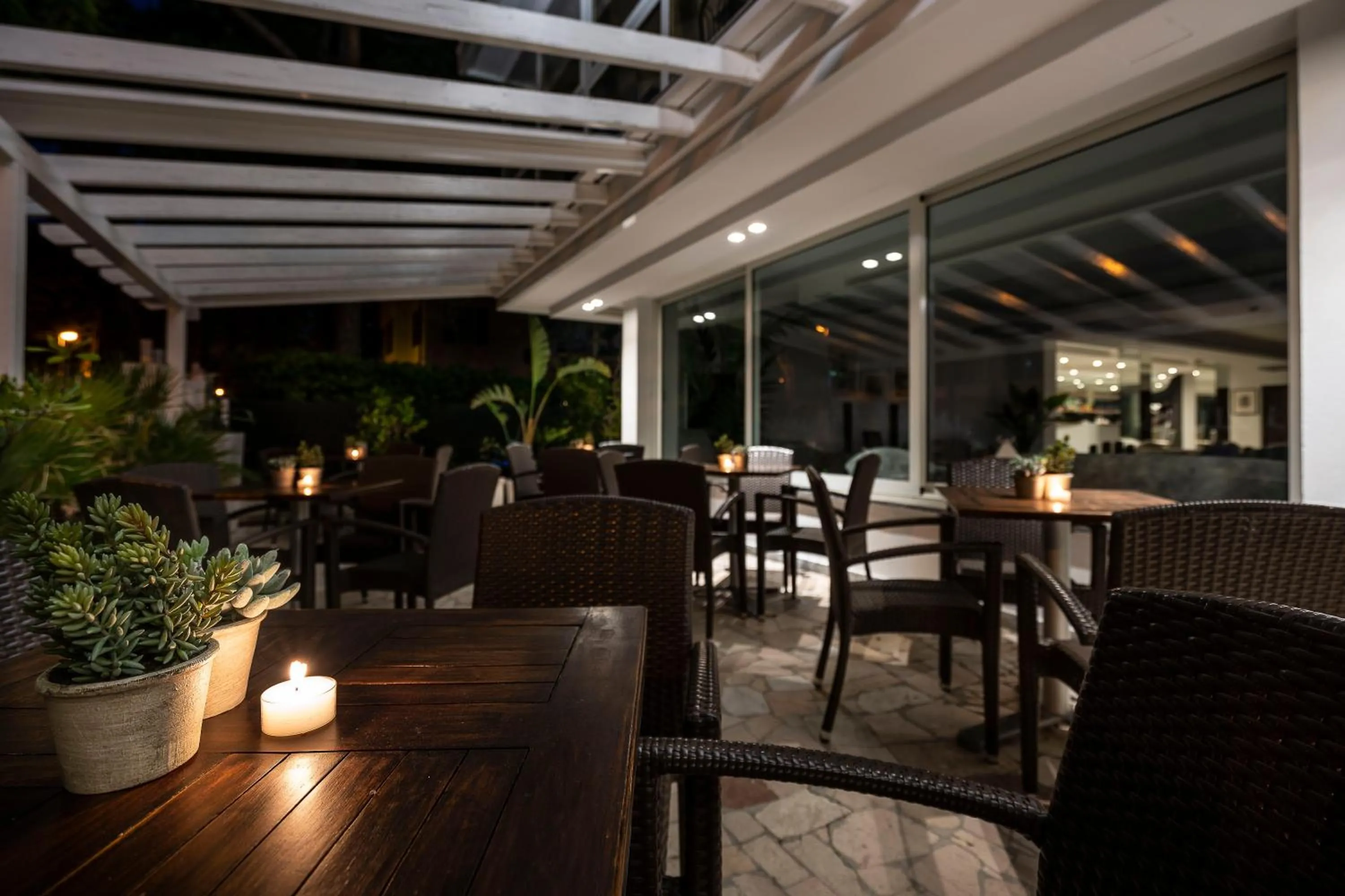 Garden in Hotel Pacific