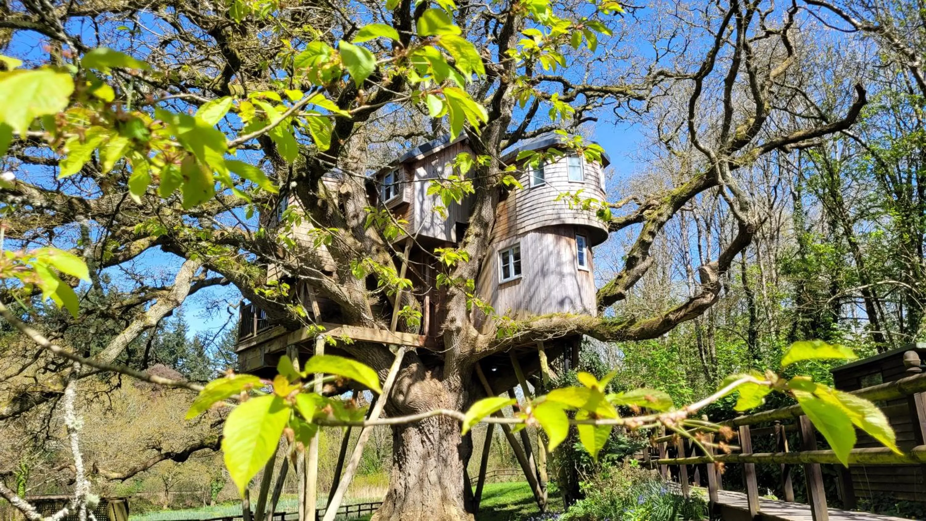 Fox & Hounds Country Hotel