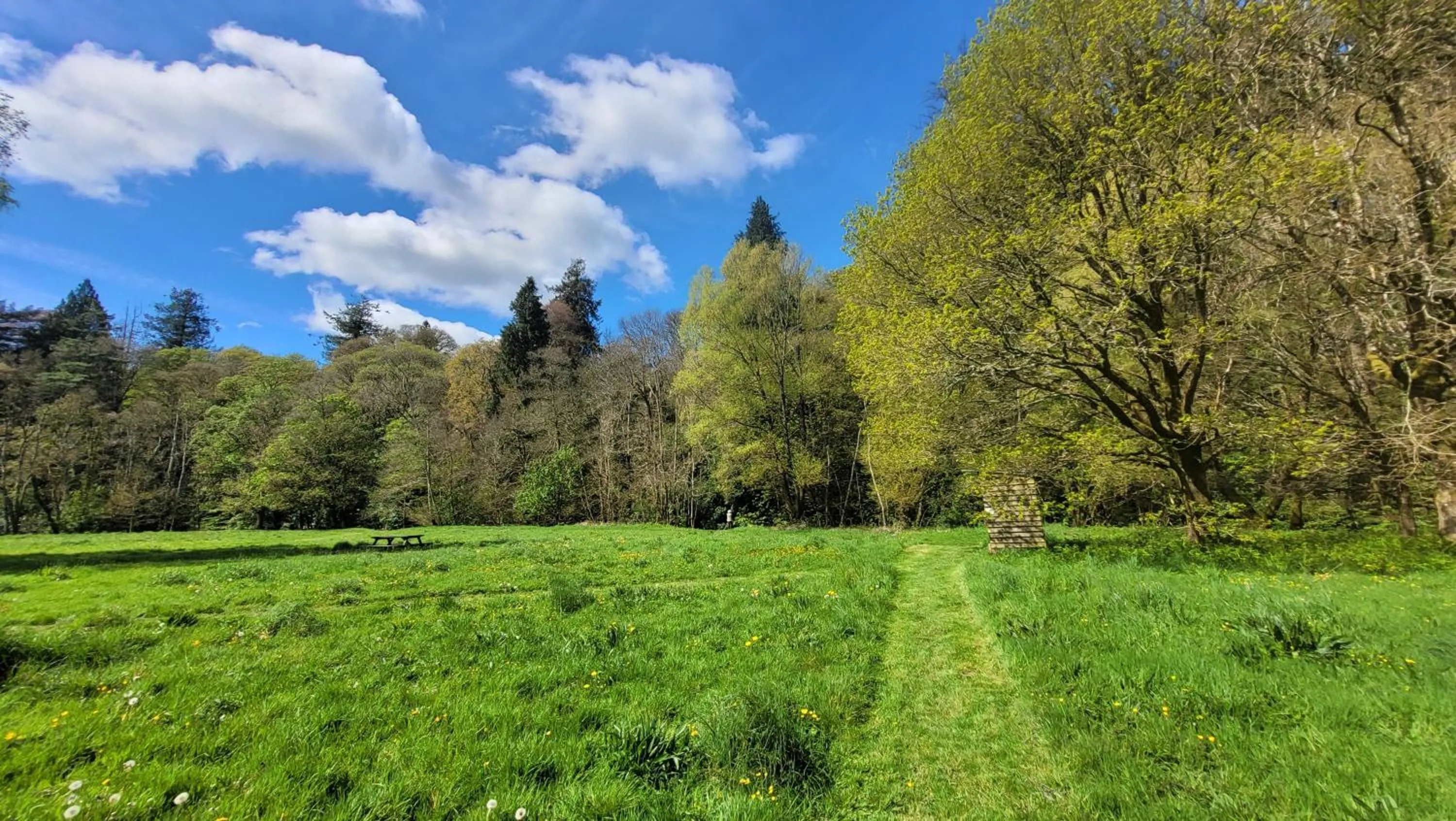 Garden in Fox & Hounds Country Hotel
