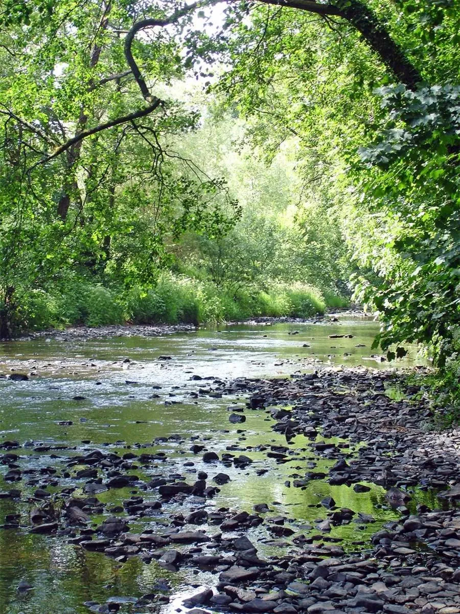 Garden in Fox & Hounds Country Hotel