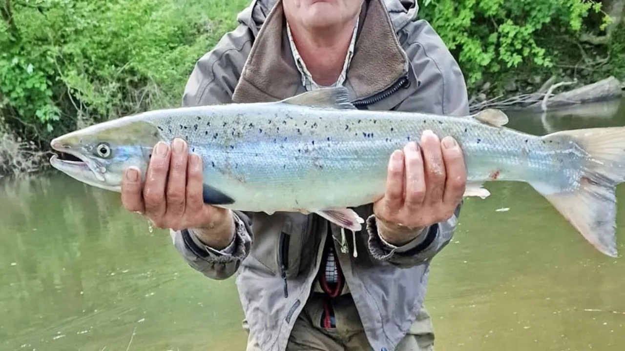 Fishing in Fox & Hounds Country Hotel