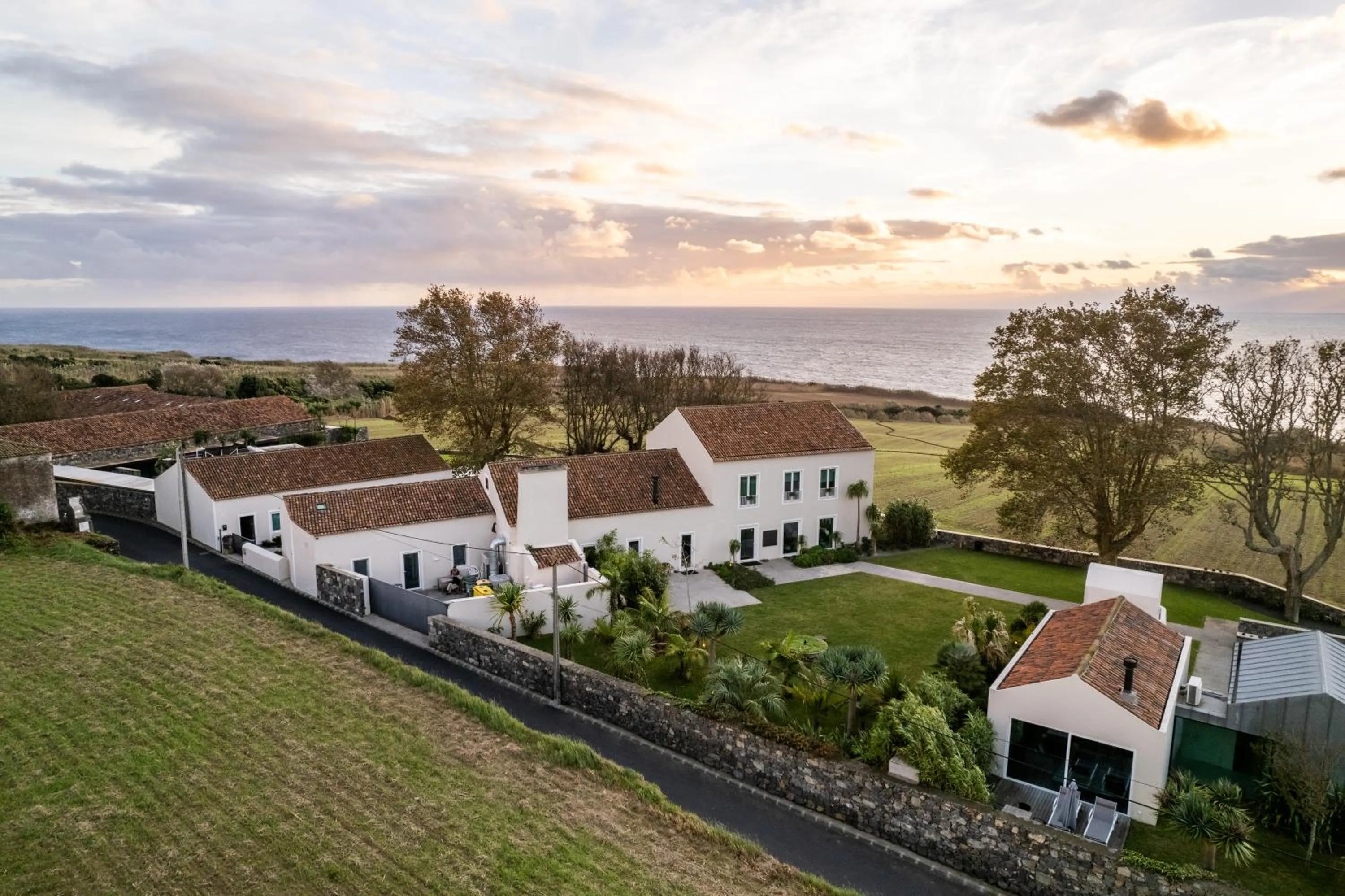 Bird's eye view in SENSI Azores Nature and SPA