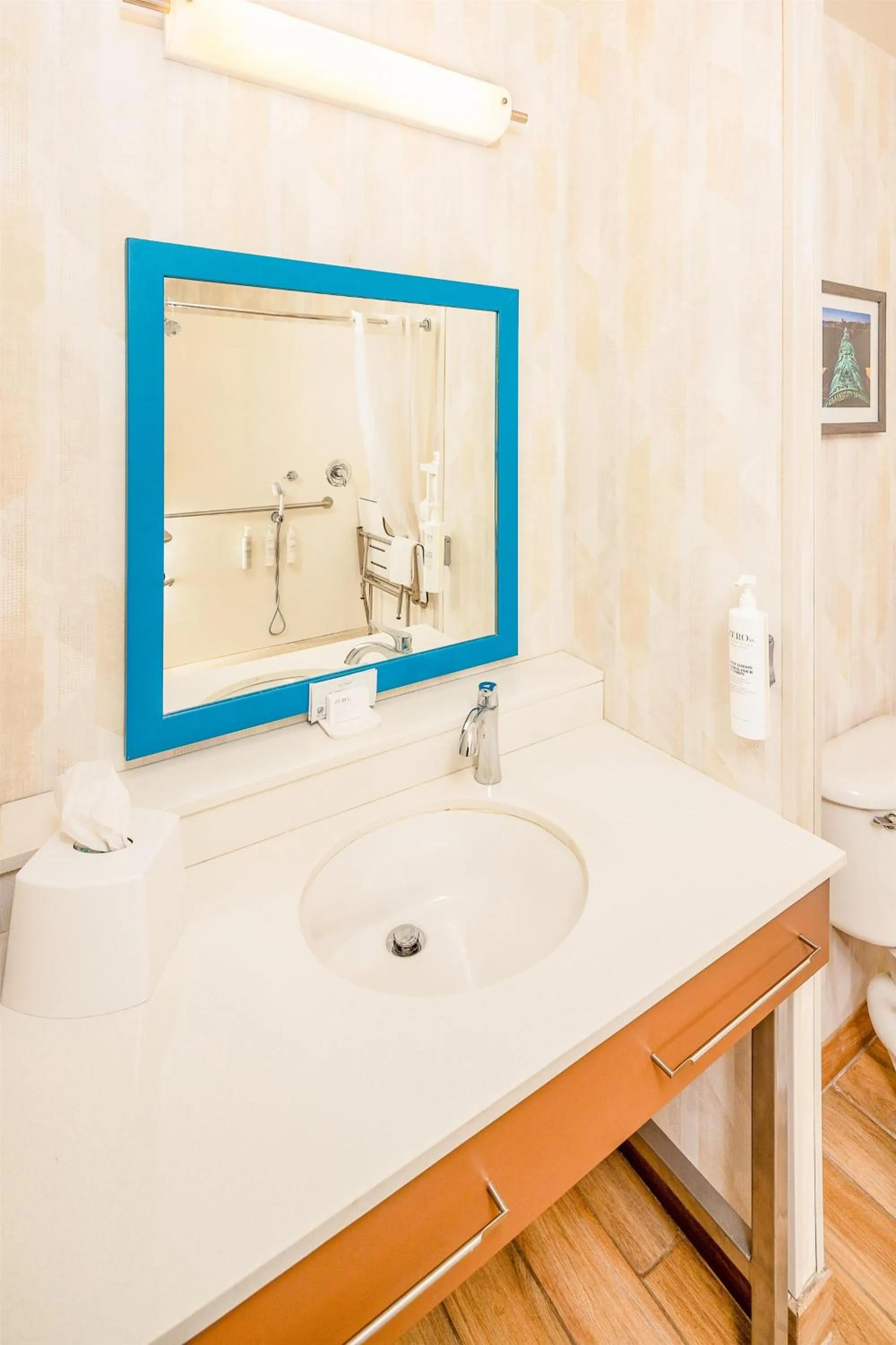 Bathroom in Hampton Inn & Suites St. Augustine-Vilano Beach