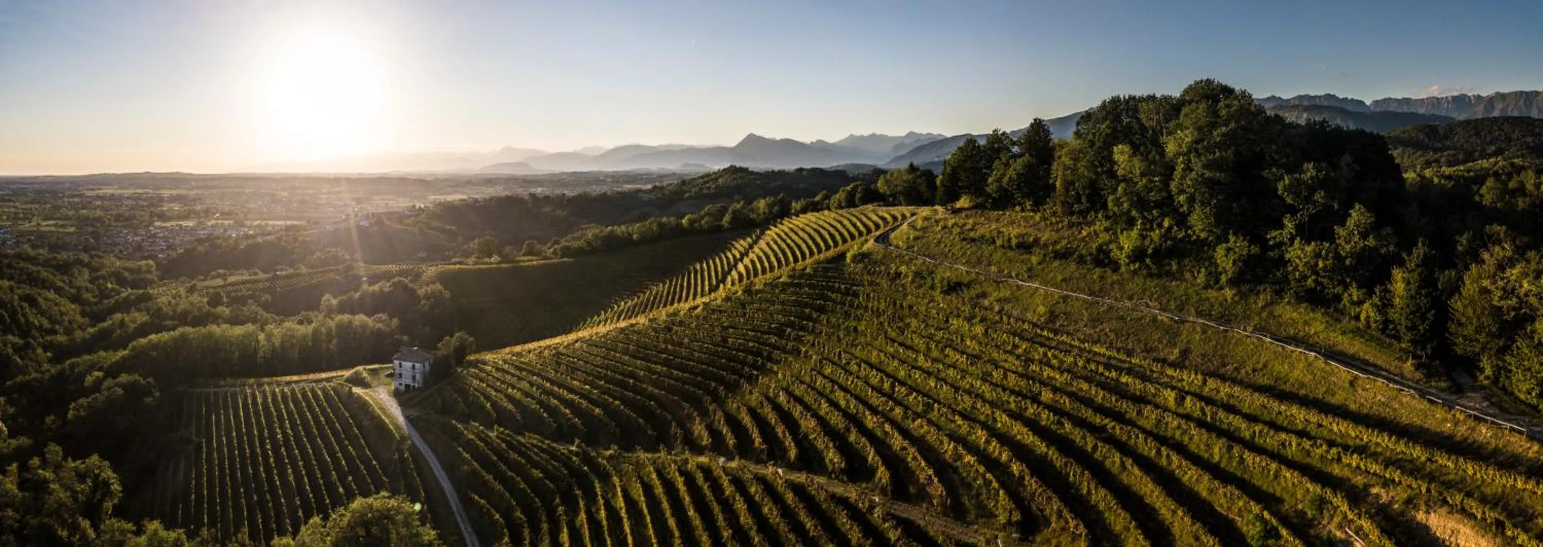 Property building in Oasi Picolit