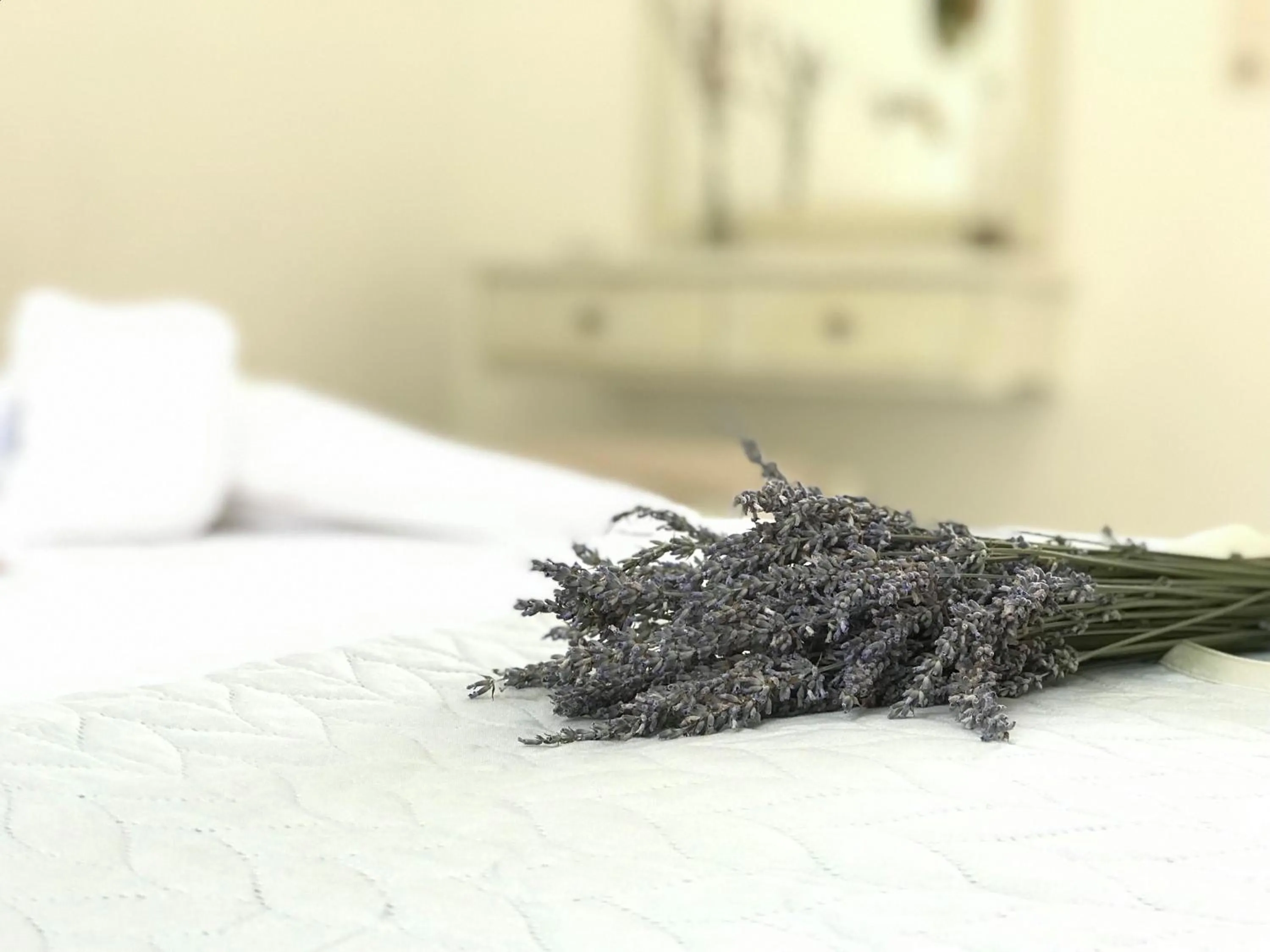 Bed in Studios Estrella del mar