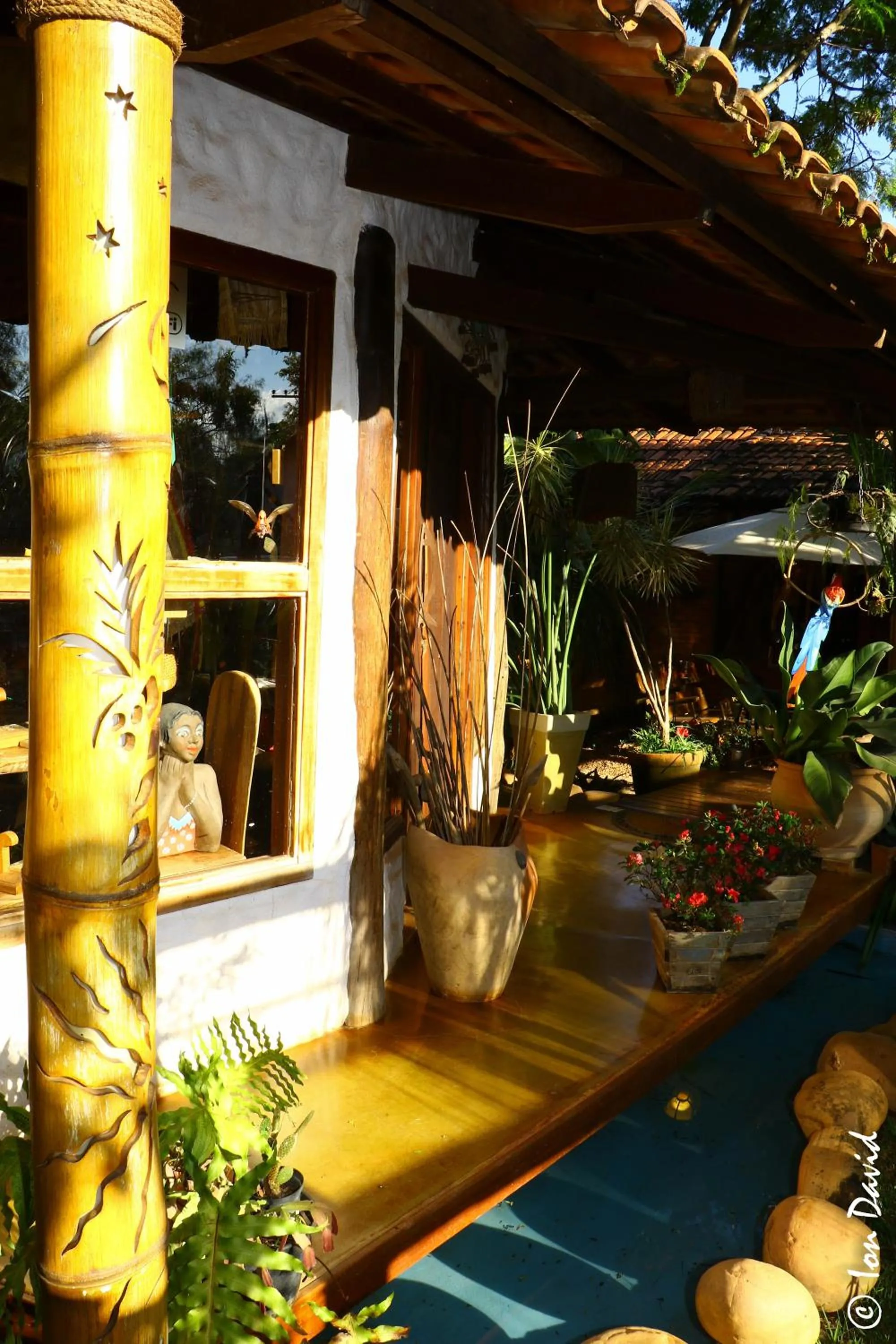 Pousada Bambu Brasil