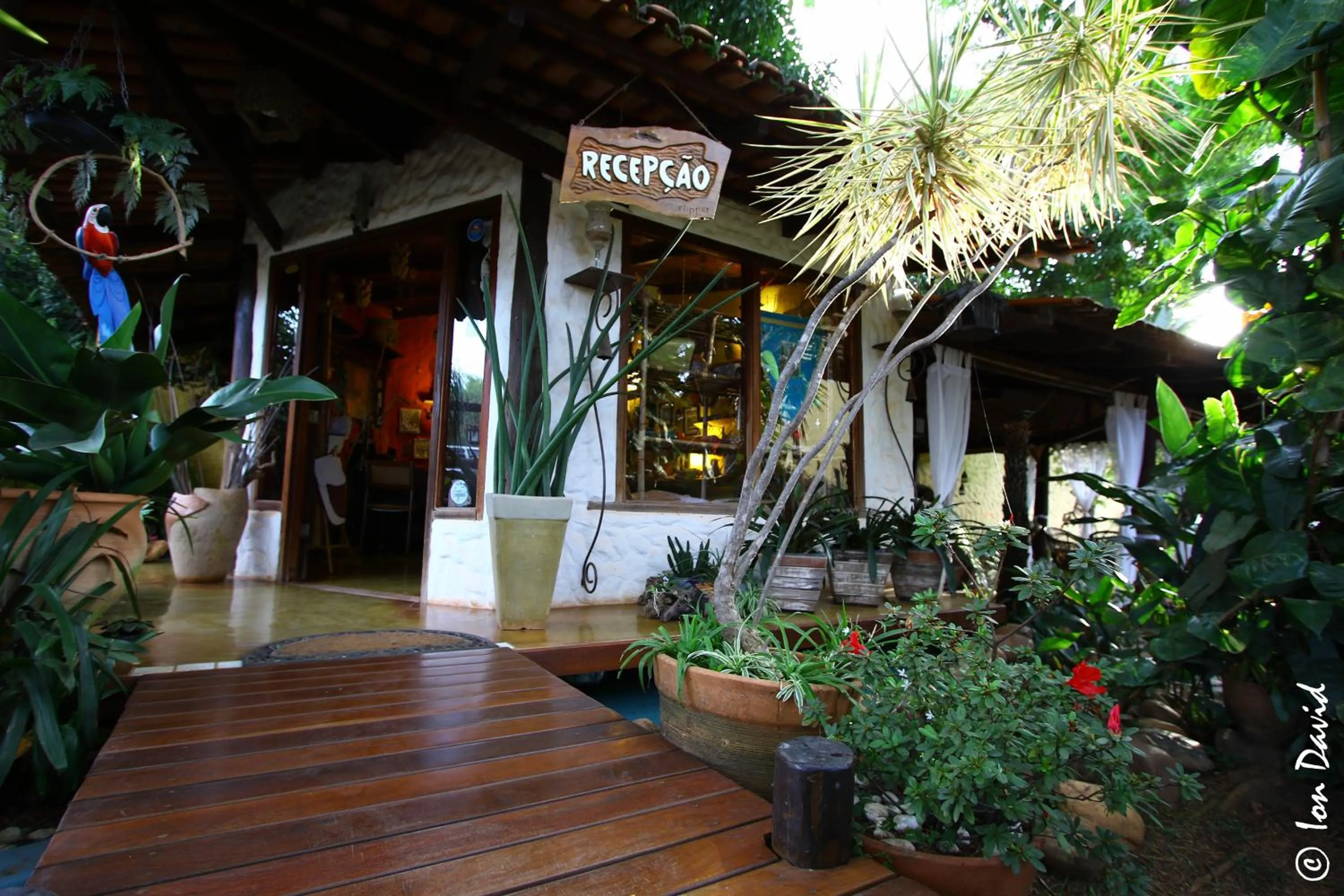 Pousada Bambu Brasil