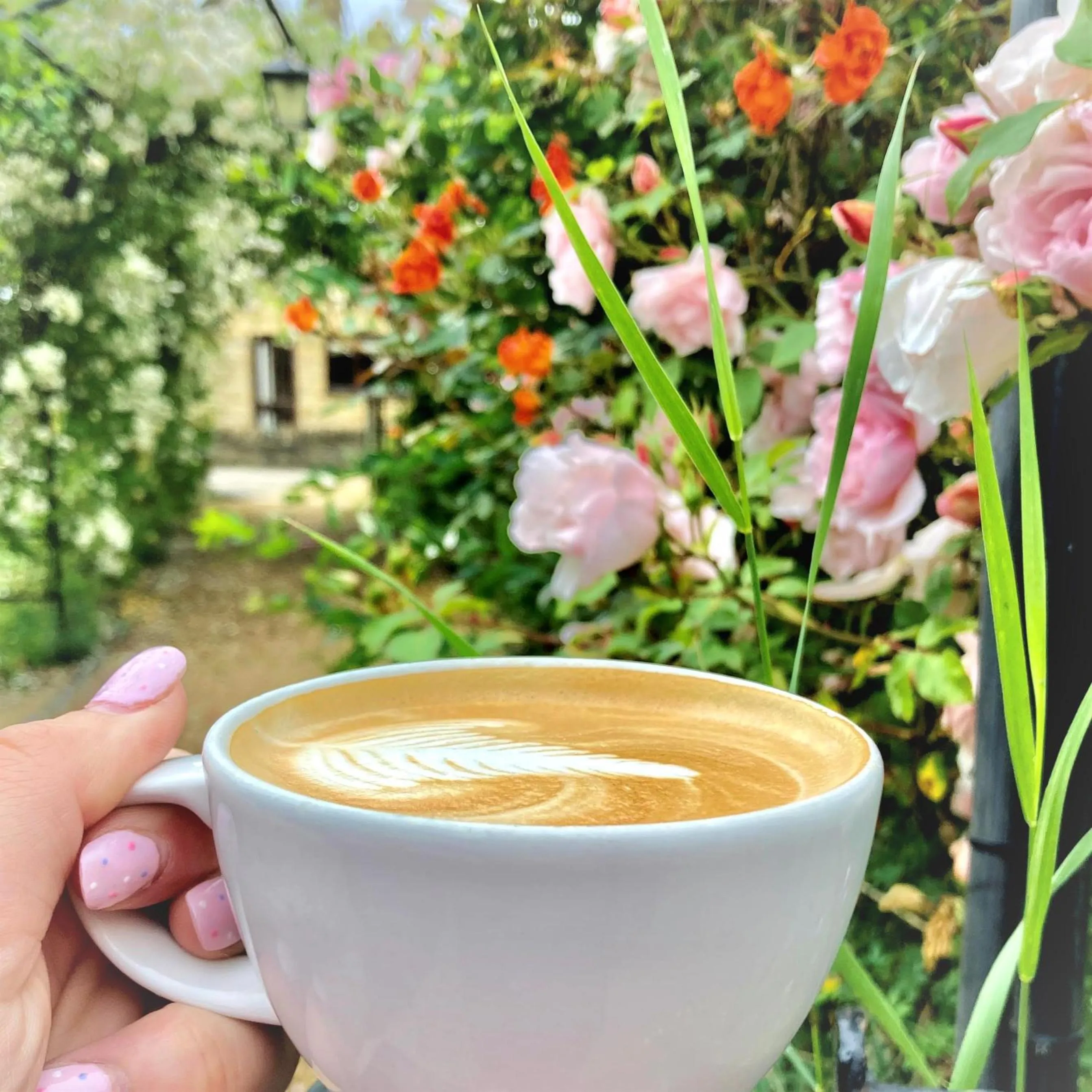 Lunch in Banbury Hill Farm Bed & Breakfast