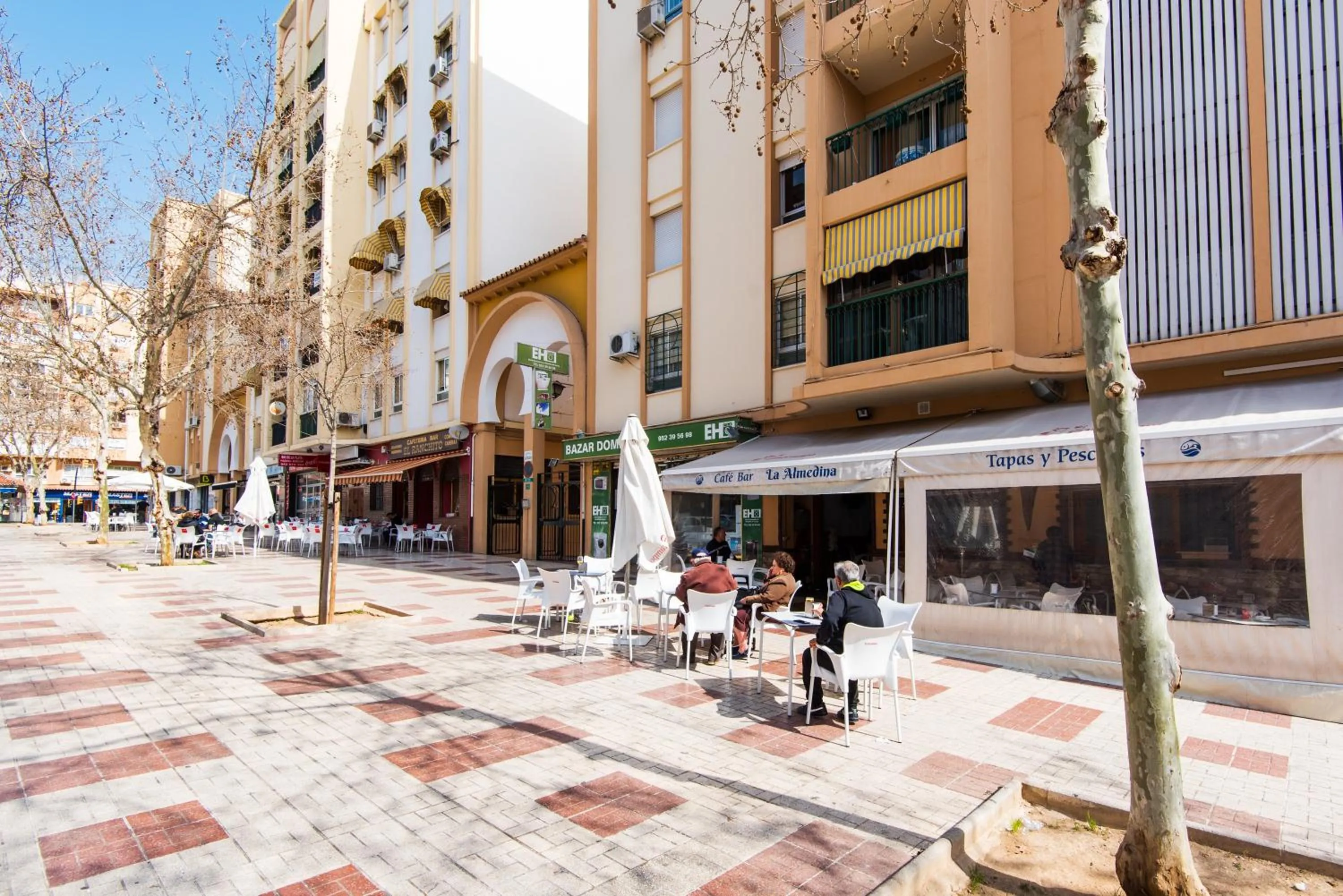 Property building in Estudio Malagasol