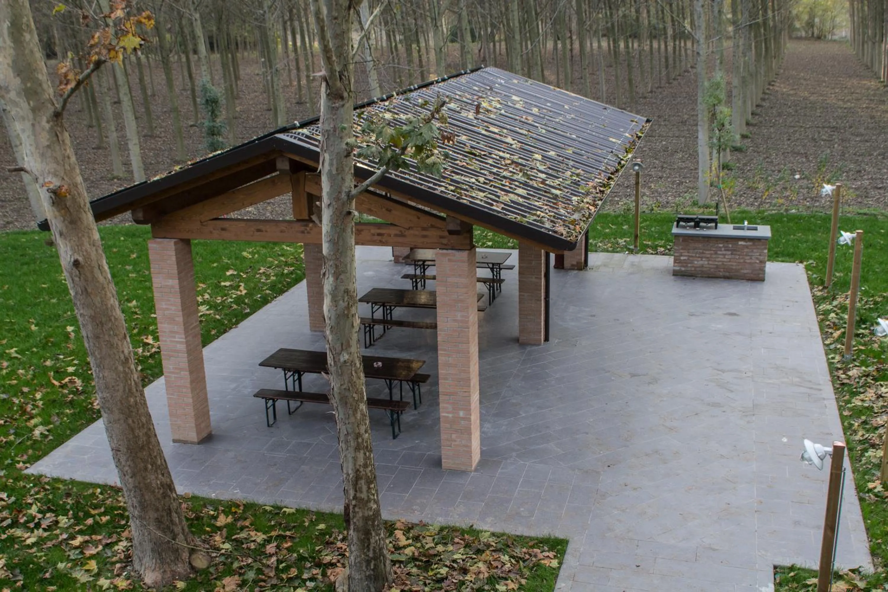 Garden in B&B Bortolino