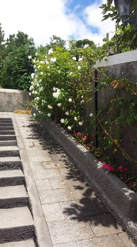 Paraiso das Flores