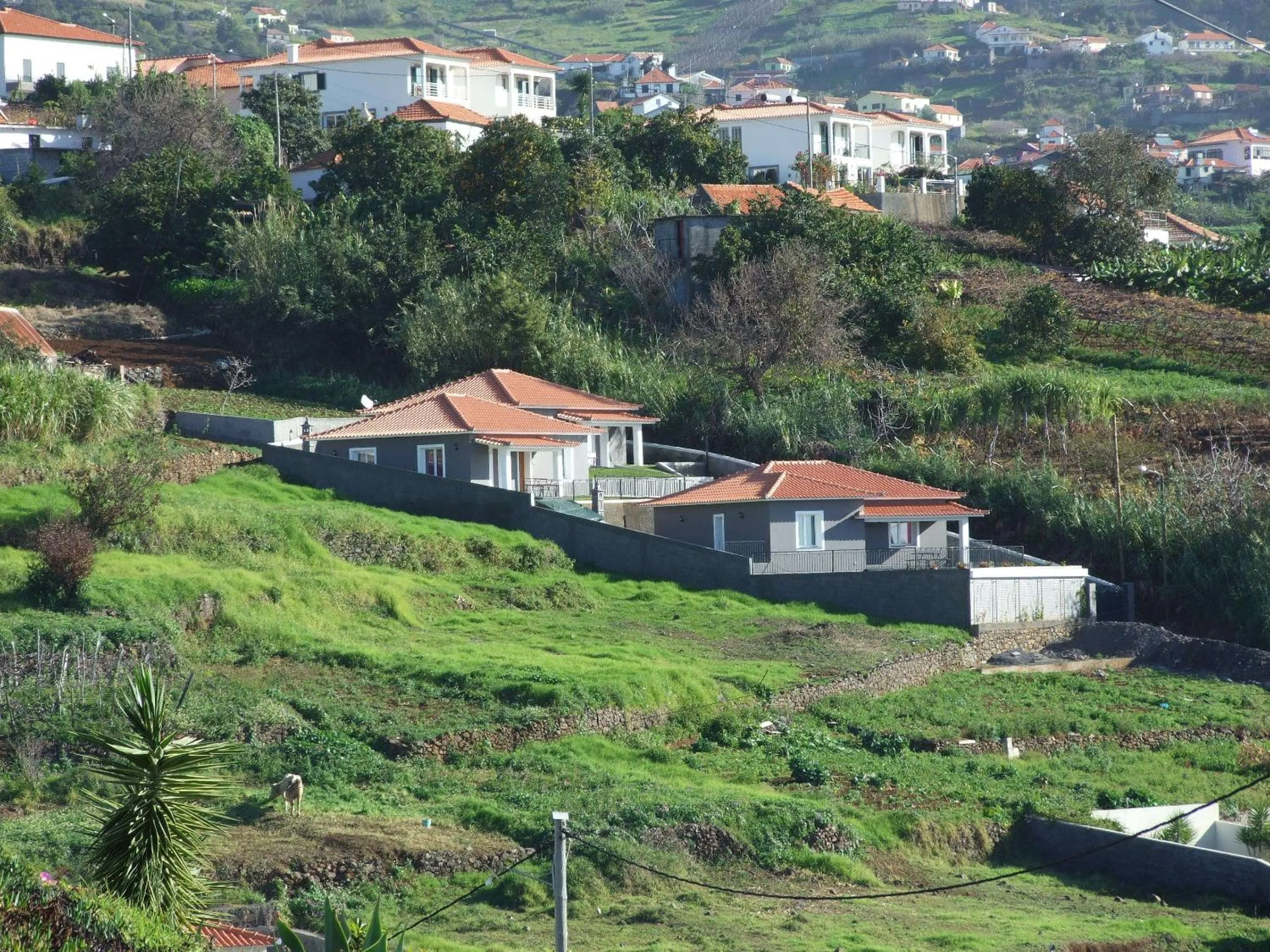Bird's eye view in Paraiso das Flores