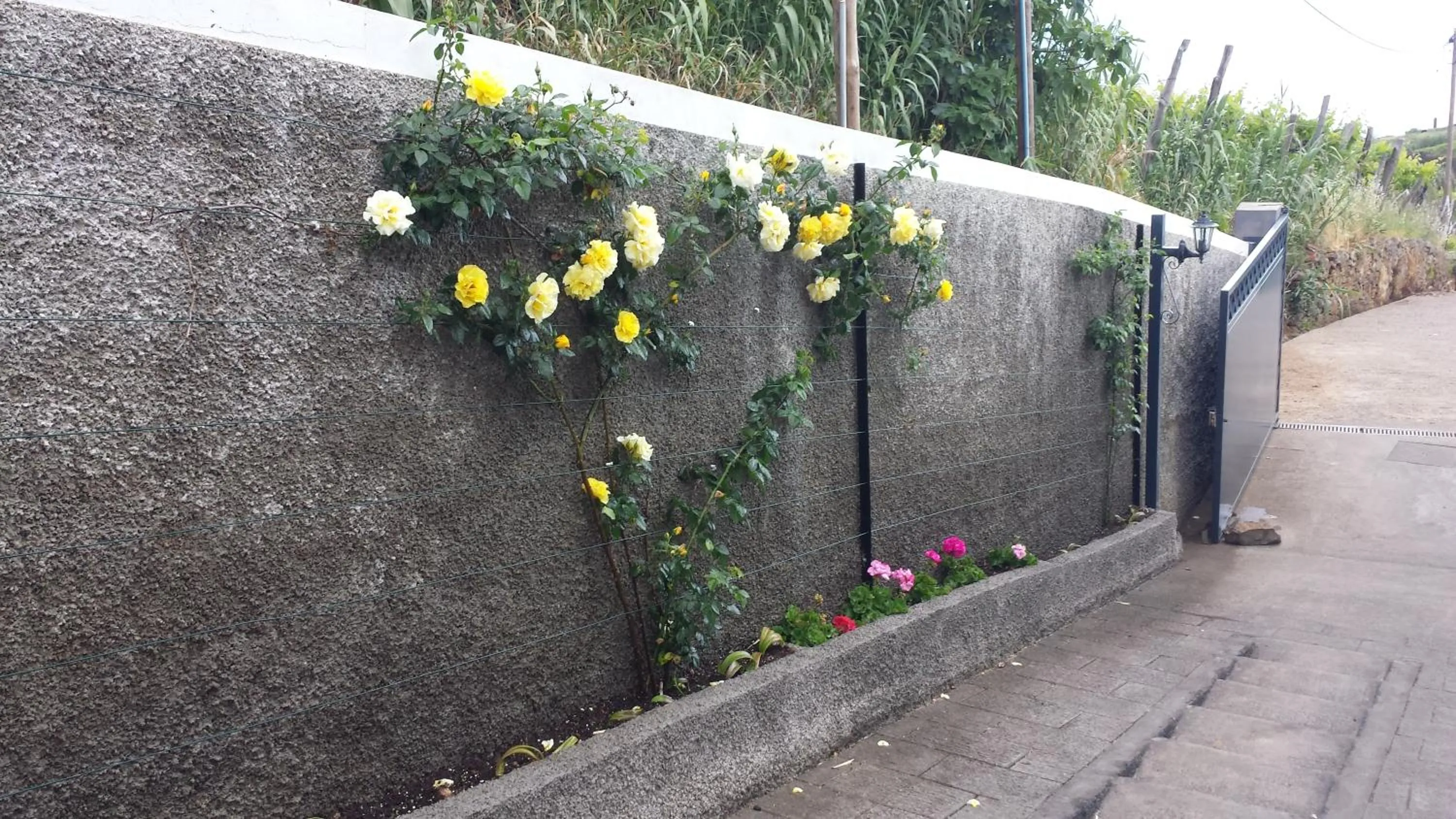 Spring in Paraiso das Flores