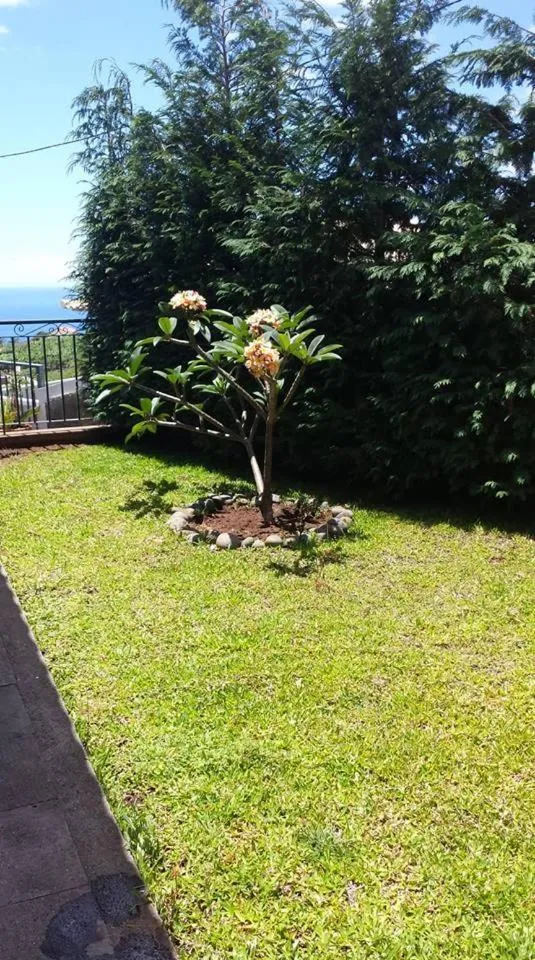 Paraiso das Flores