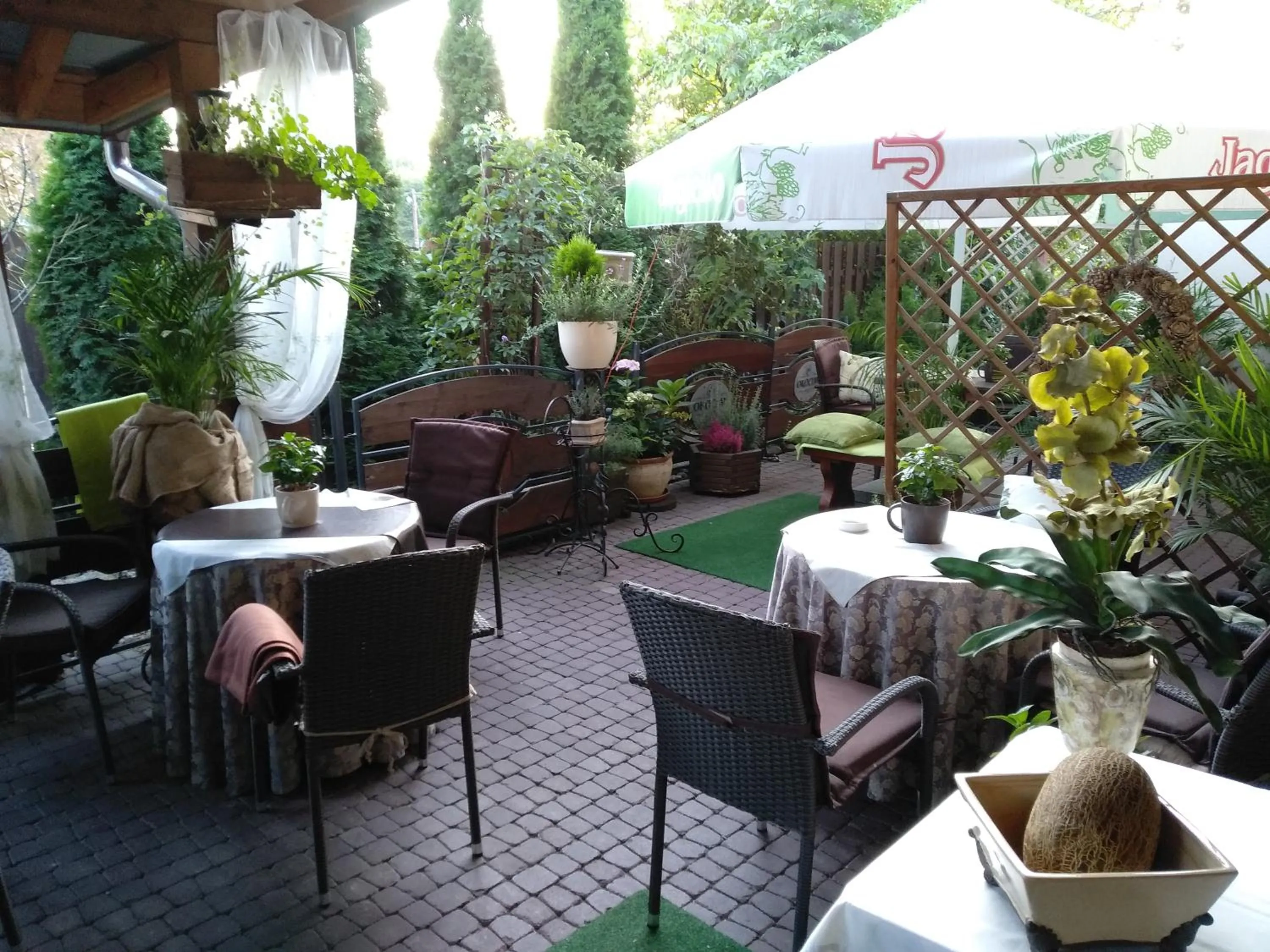 Restaurant/places to eat in Hotel Polak