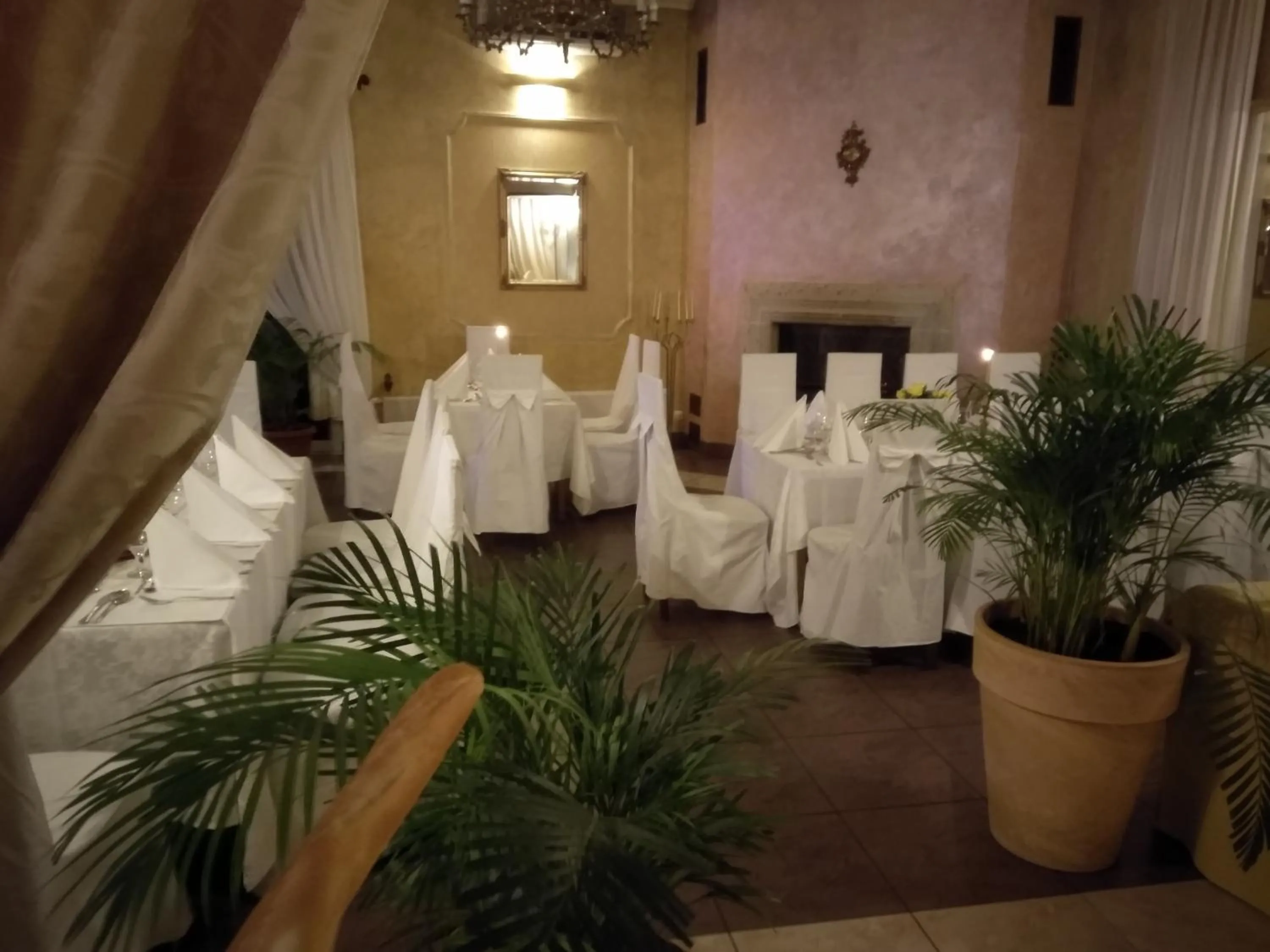 Restaurant/places to eat in Hotel Polak