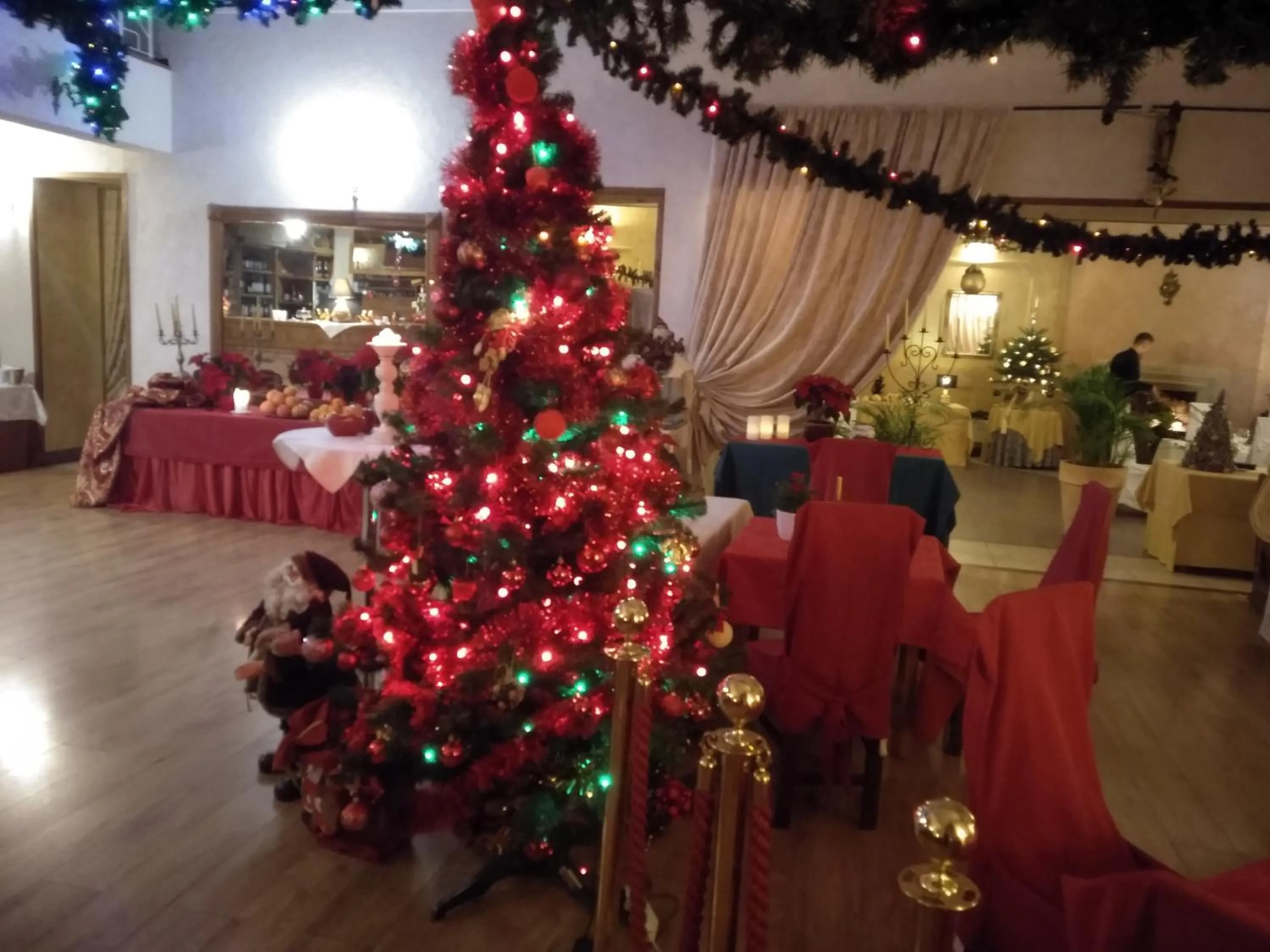 Restaurant/places to eat in Hotel Polak