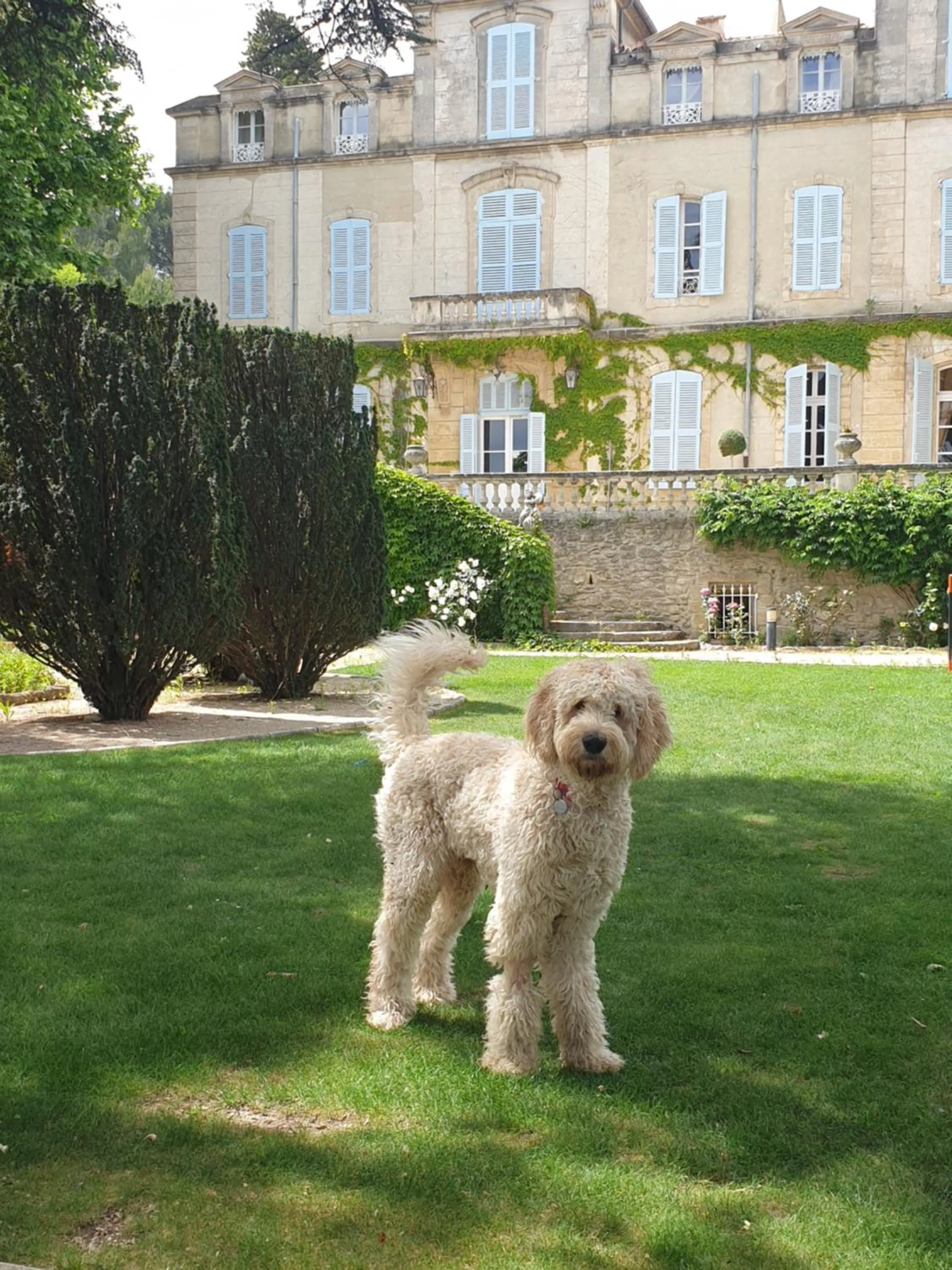 Pets in Chateau de Varenne