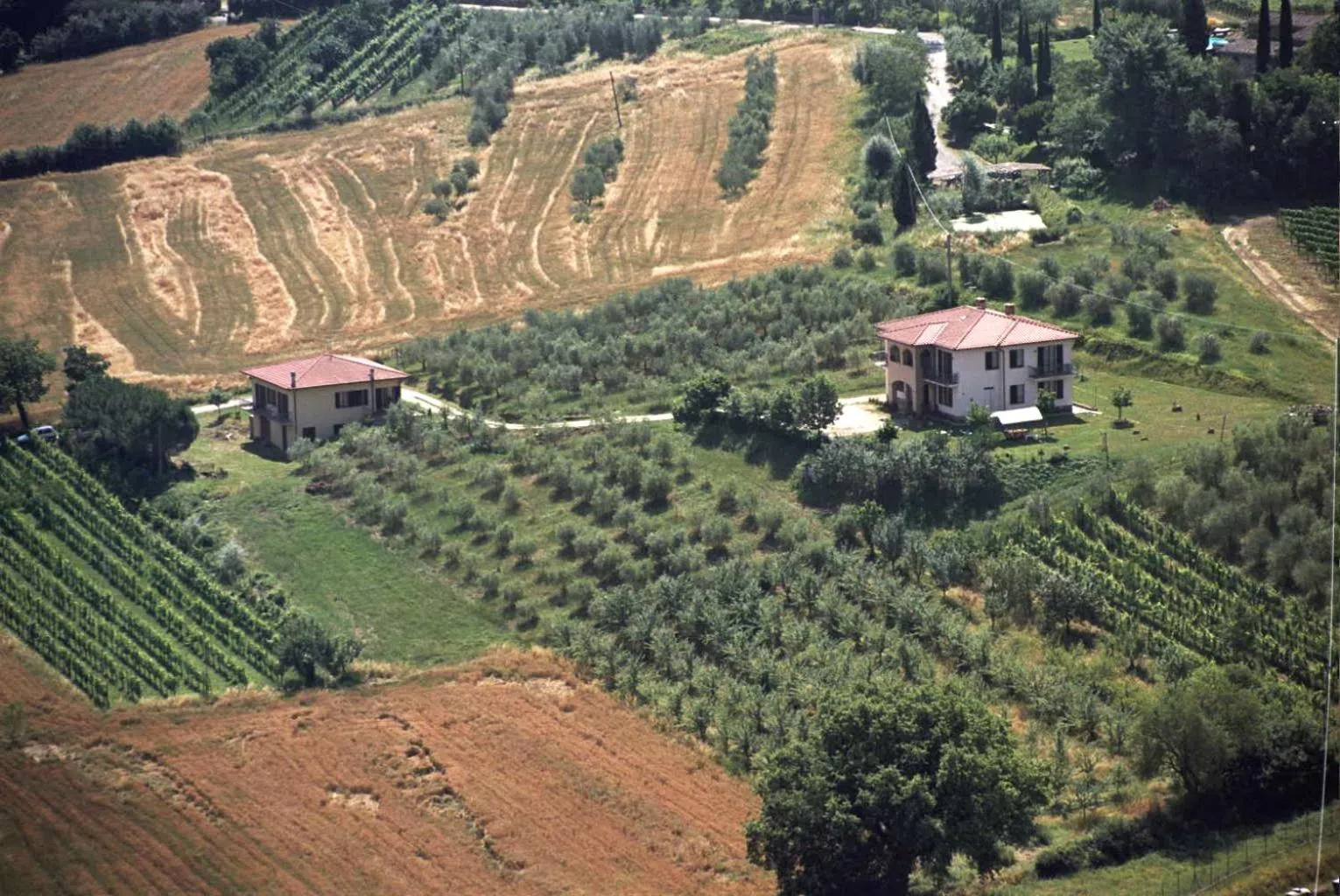 Bird's eye view in B&B Il Girasole - Rooms & House in country - air conditioned - 1500 meters from historic center