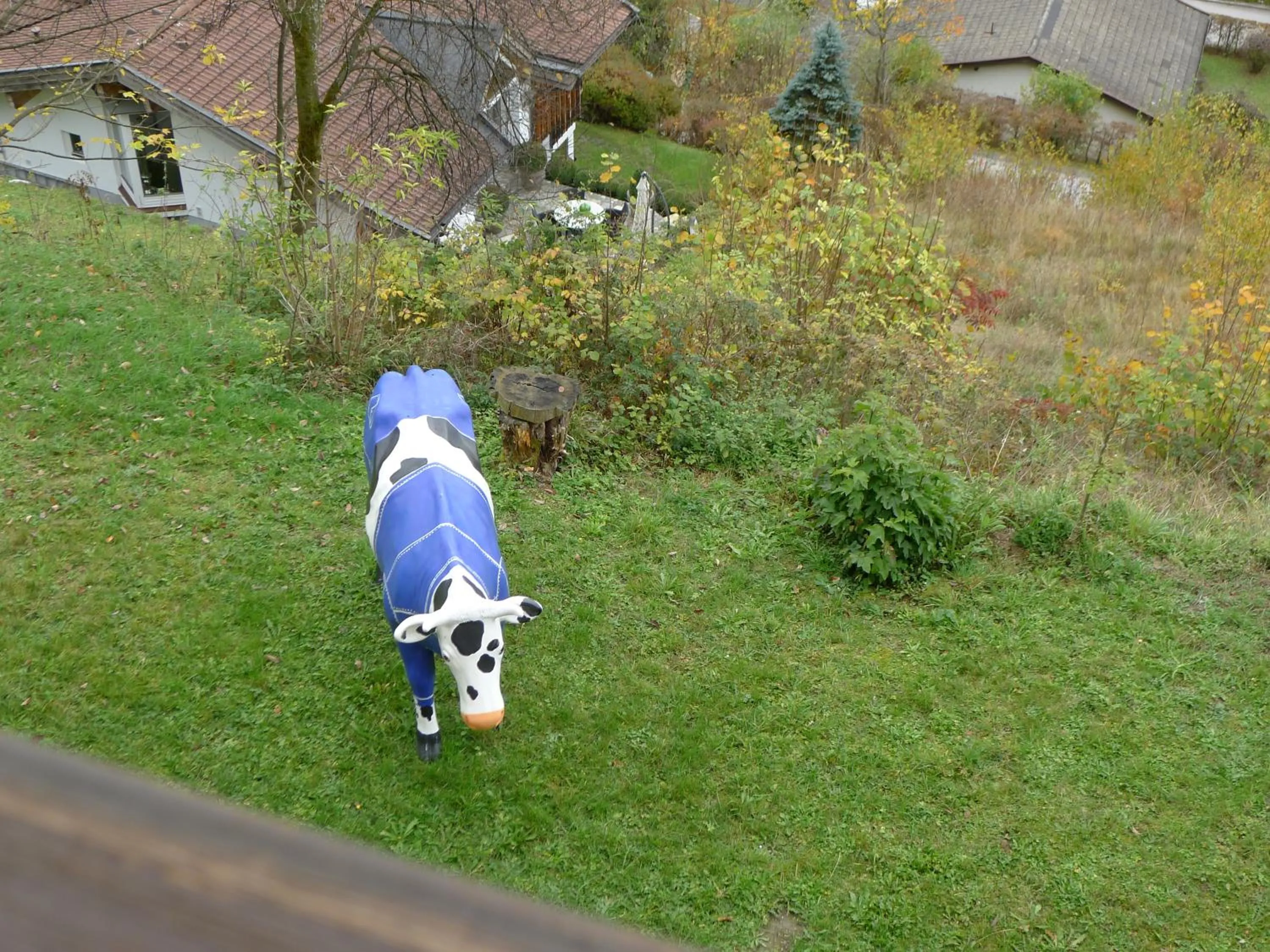 Garden in Alpenappartement Claudia