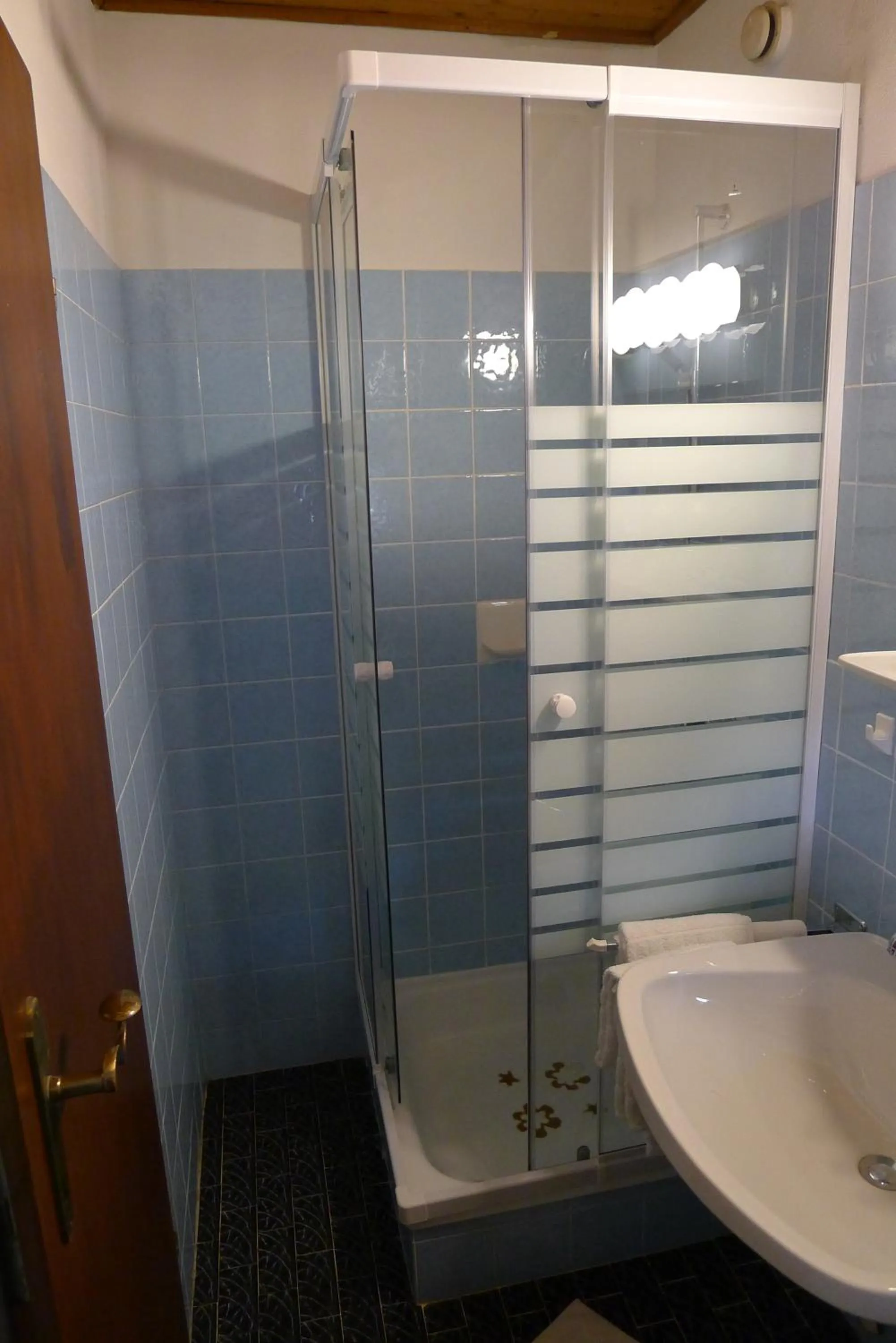 Shower in Alpenappartement Claudia