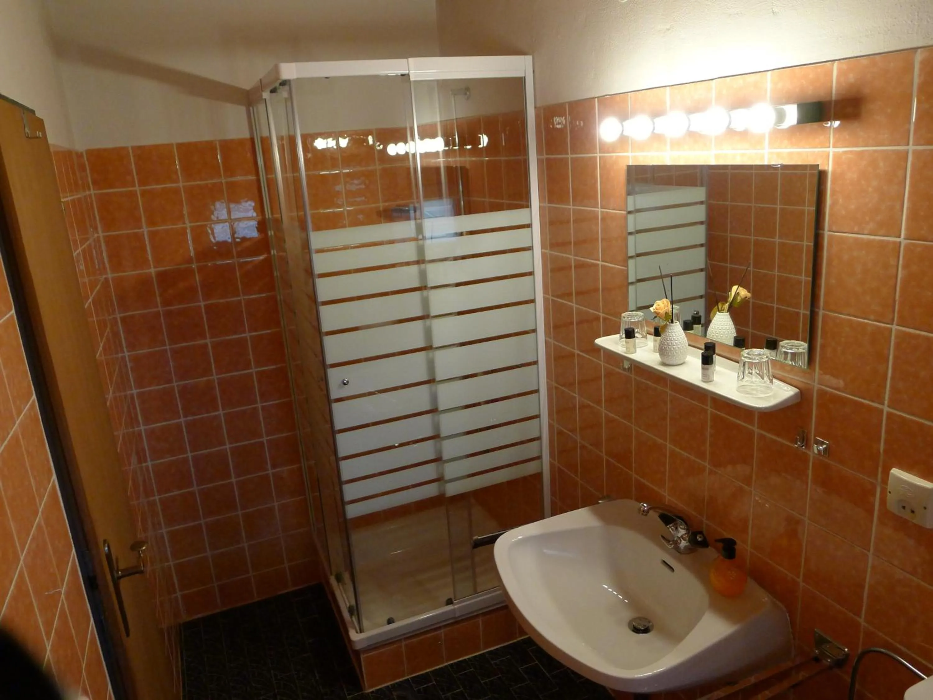 Bathroom in Alpenappartement Claudia