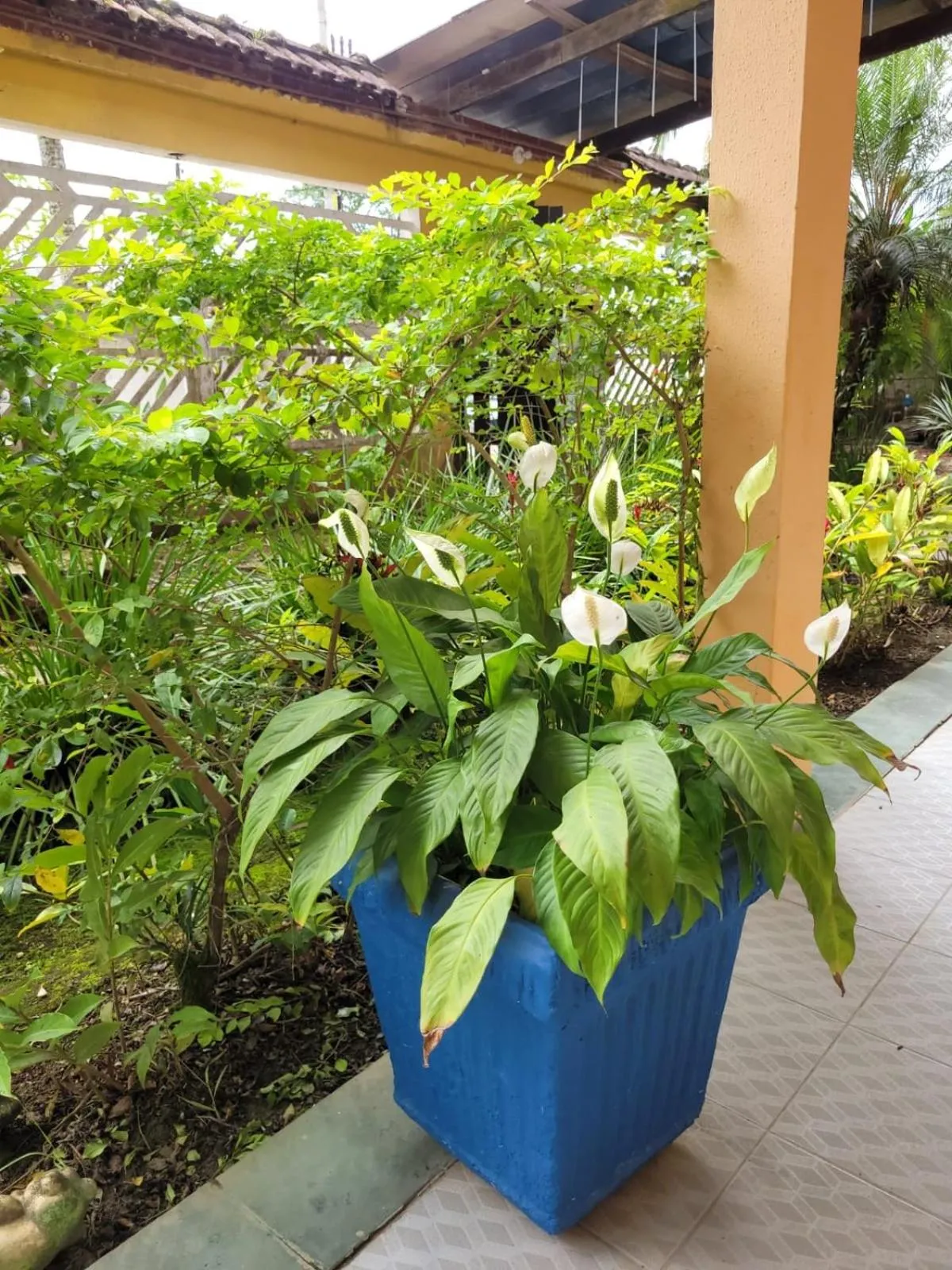 Garden in Pousada Boramar