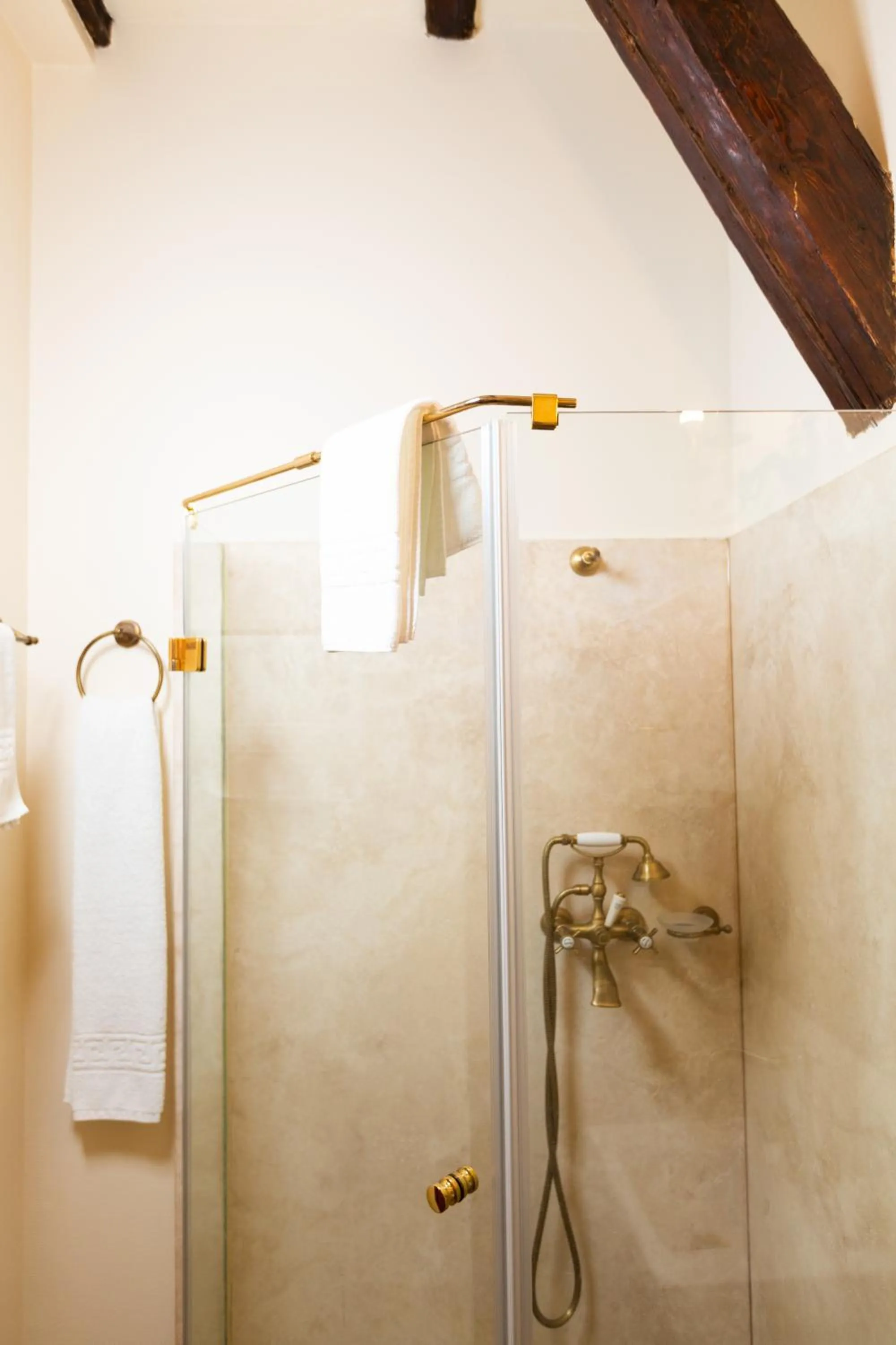 Shower in Hotel Am Ring