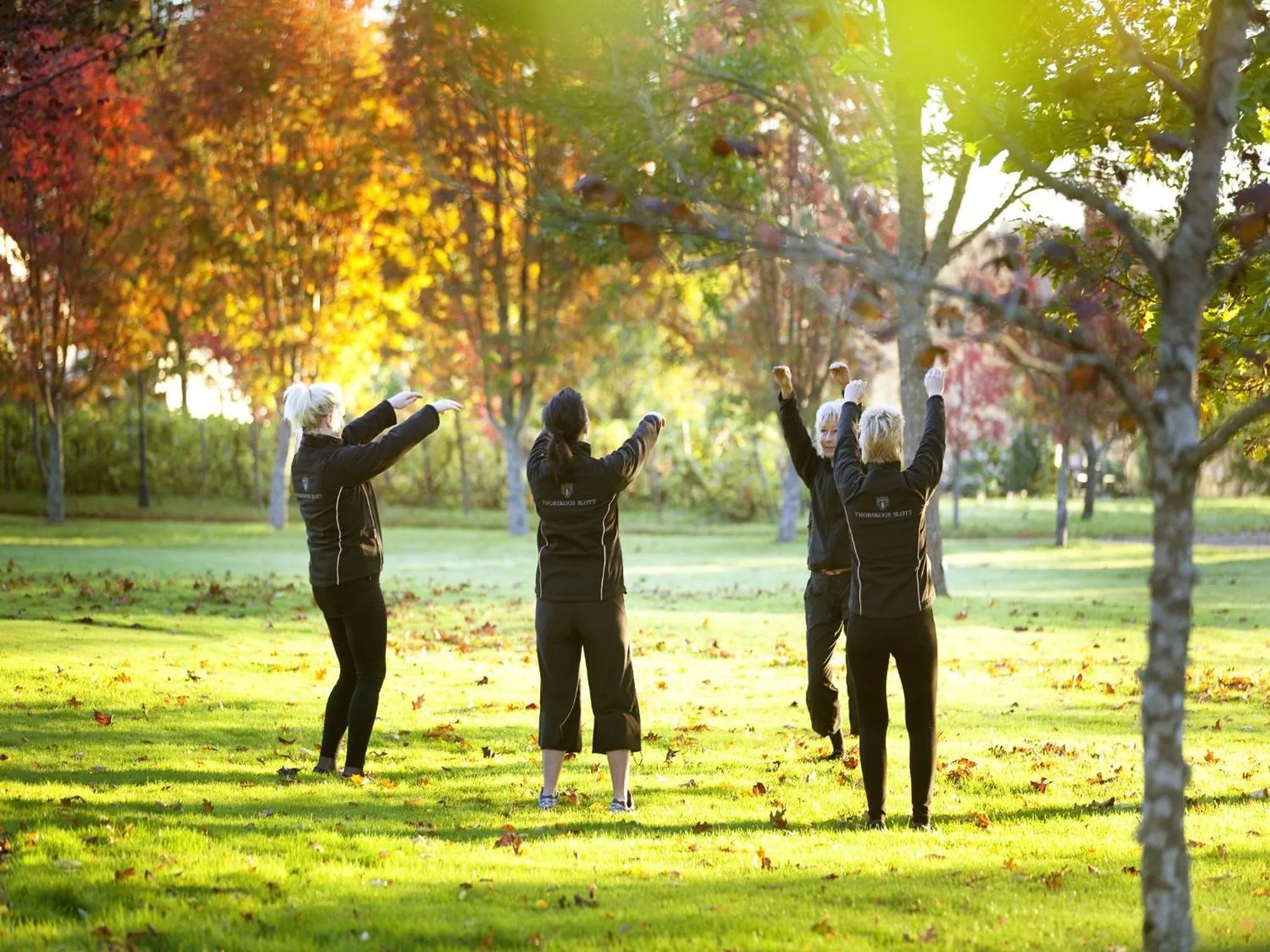 Activities in Thorskogs Slott