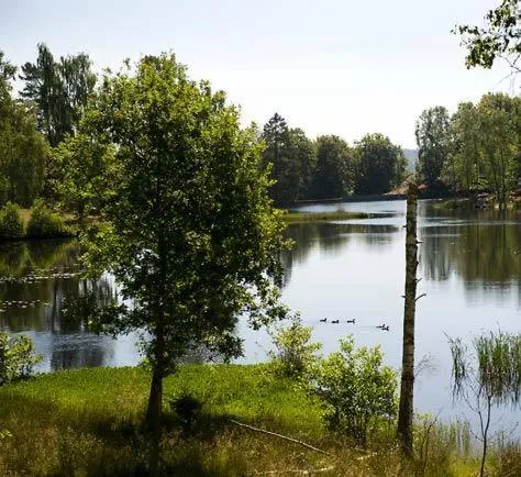 Lake view in Thorskogs Slott