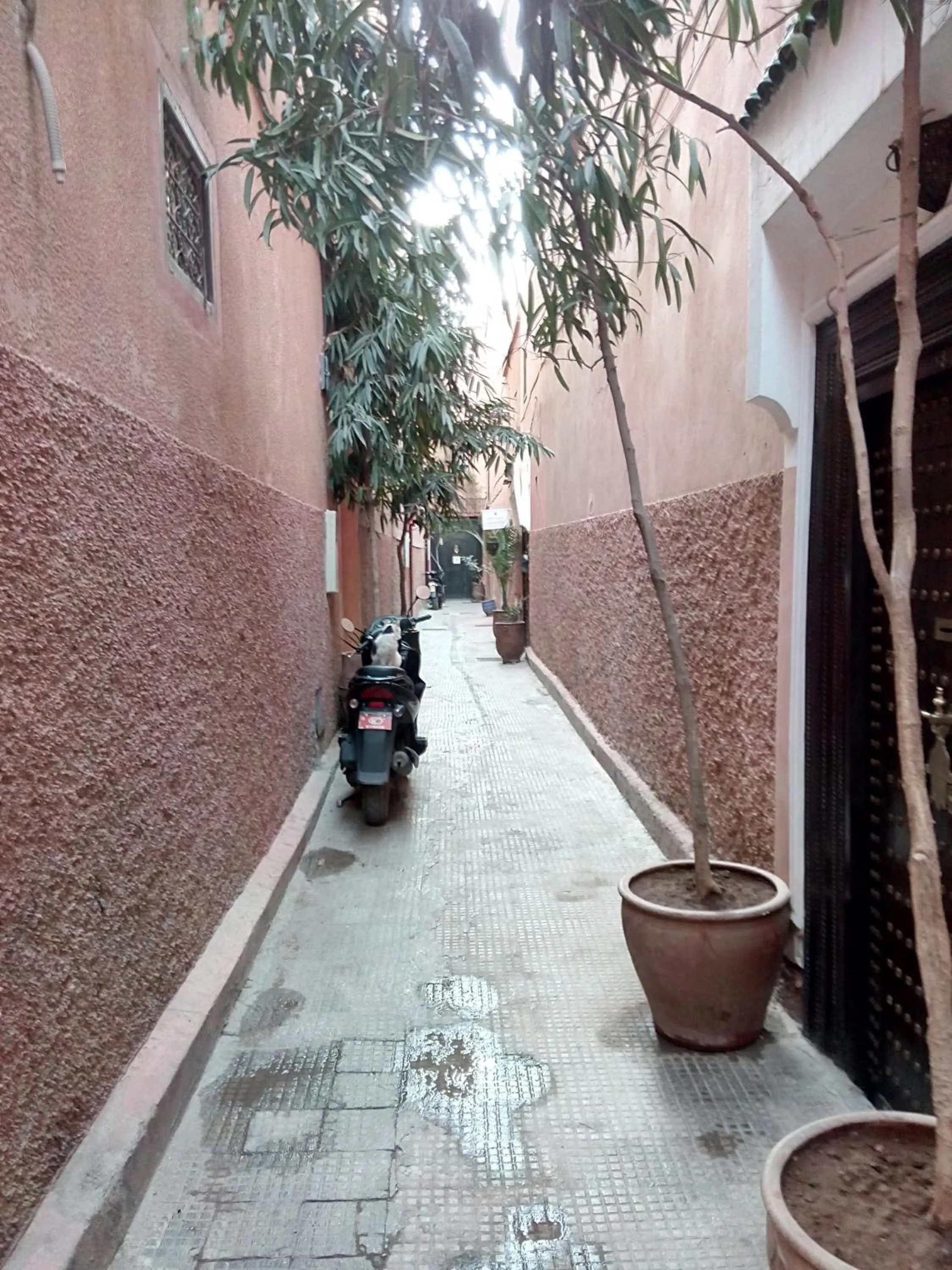 Street view in Riad Eden