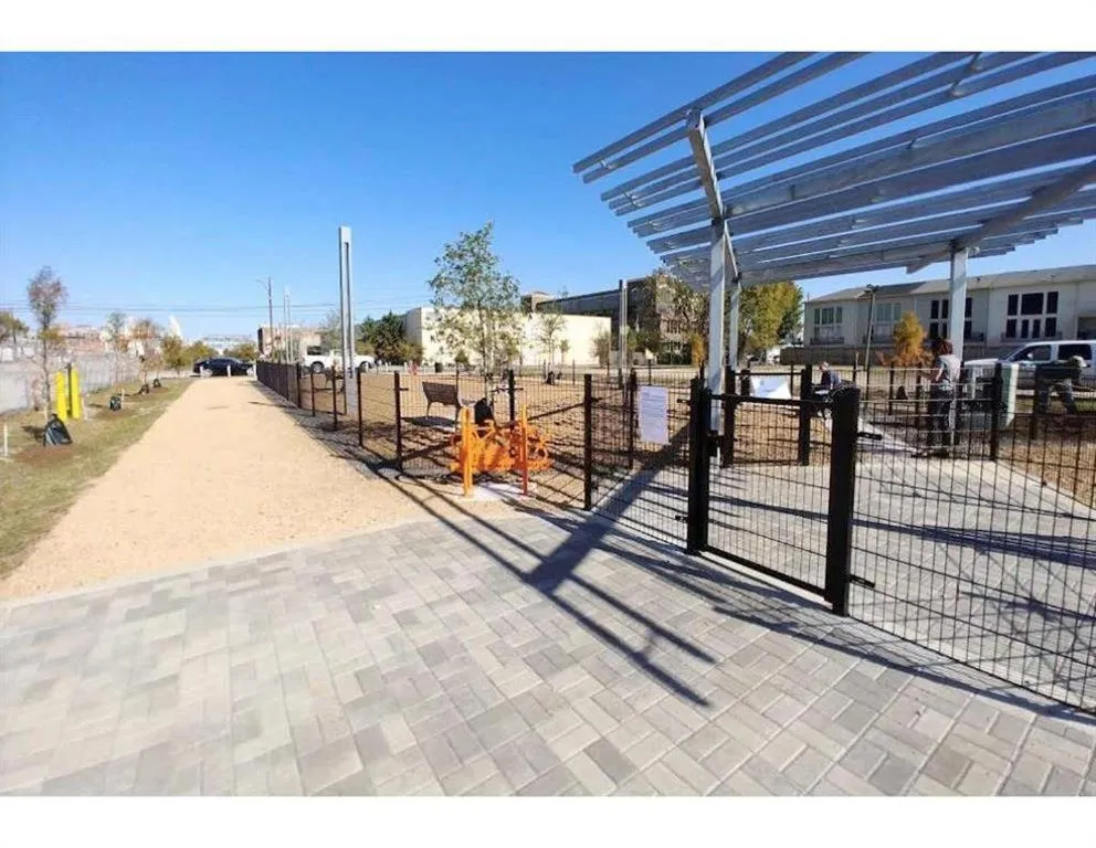 Pets in East Downtown Hideaway