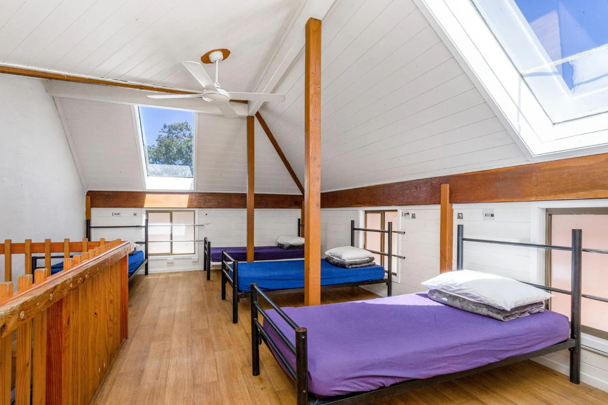 bunk bed, Bed in Aquarius Backpackers Resort