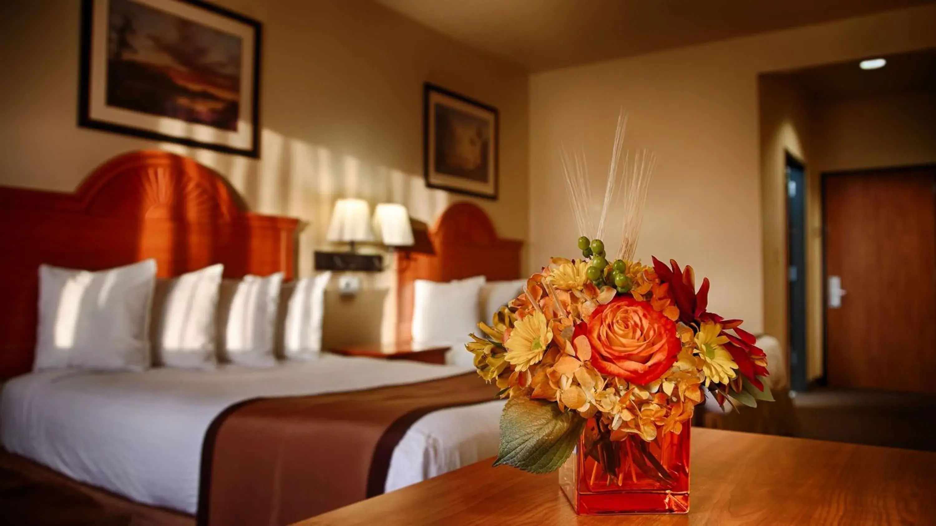 Photo of the whole room, Bed in Best Western Plus Graham Inn Photo of the whole room, Bed in Best Western Plus Graham Inn