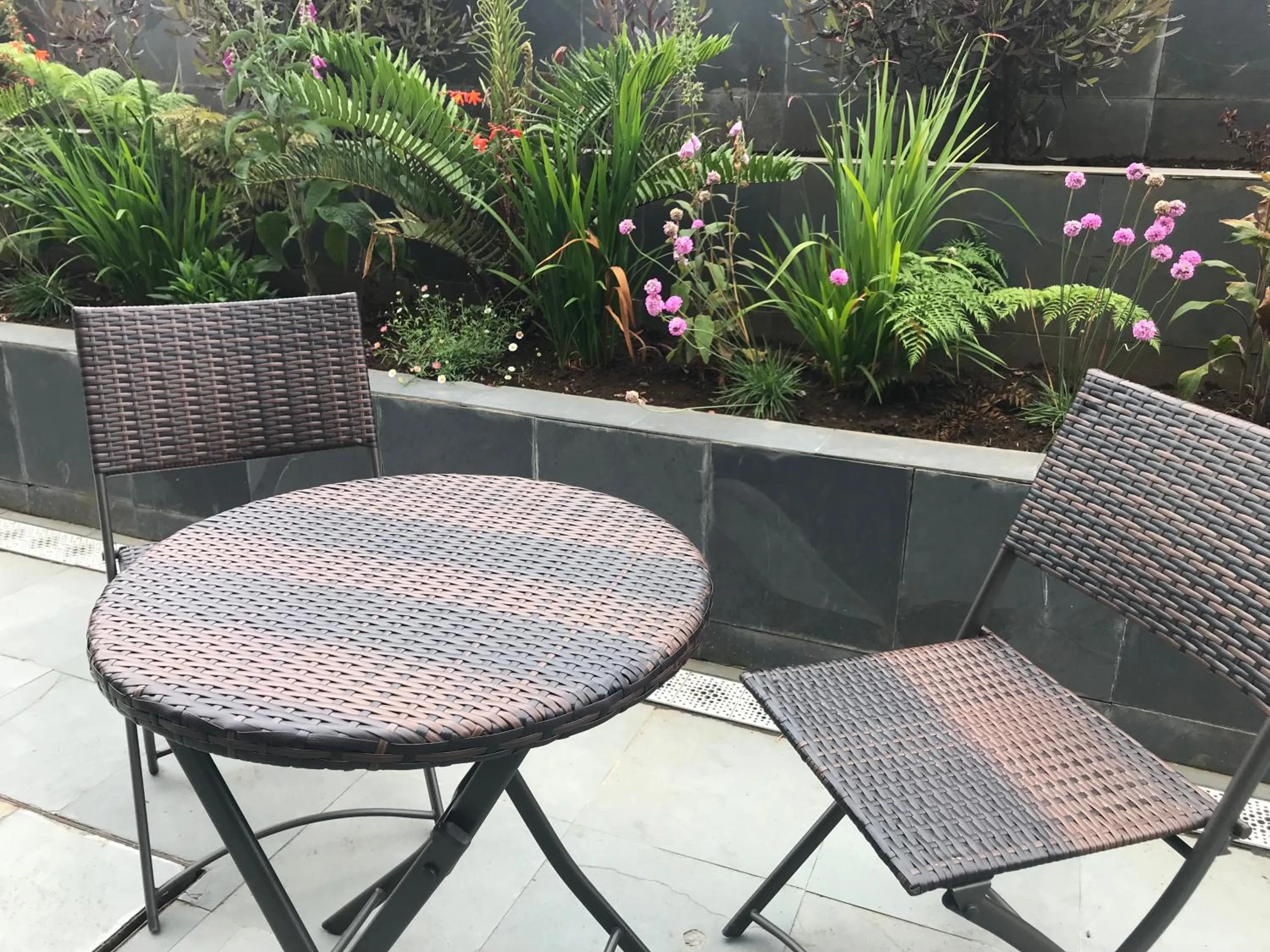 Garden in Hotel Germania