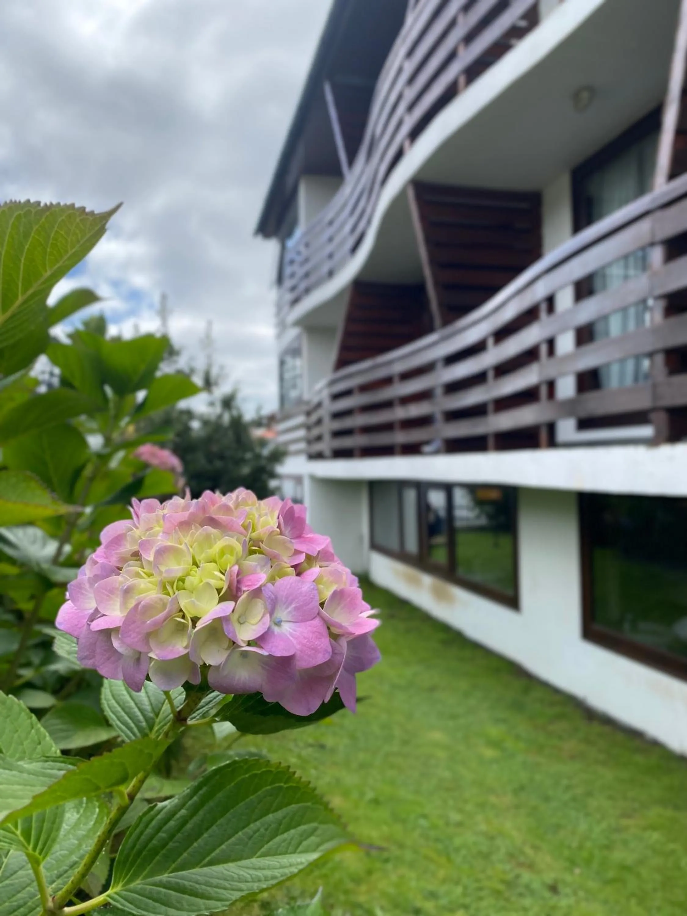 Garden in Hotel Germania