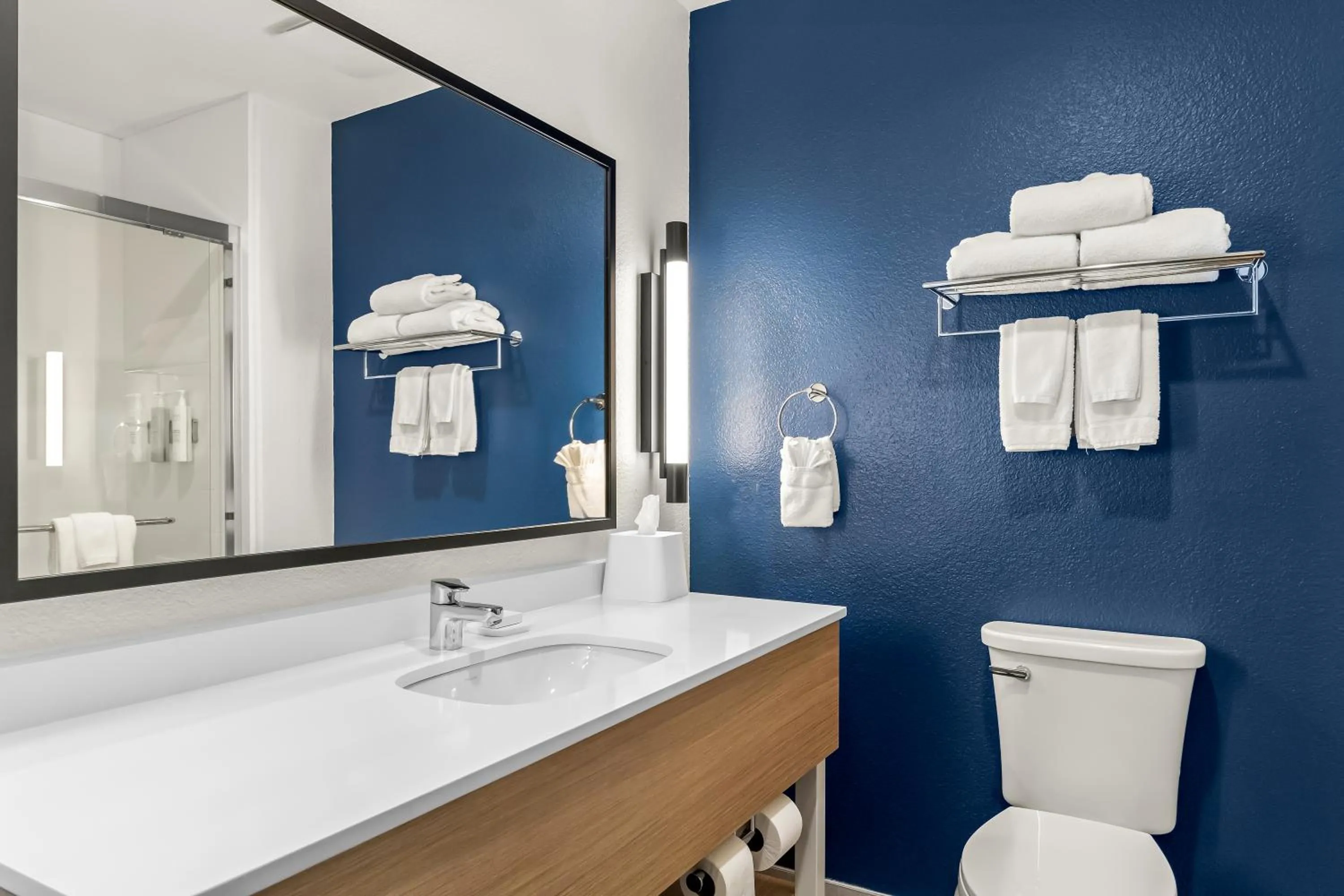 Toilet in Spark By Hilton Missouri City