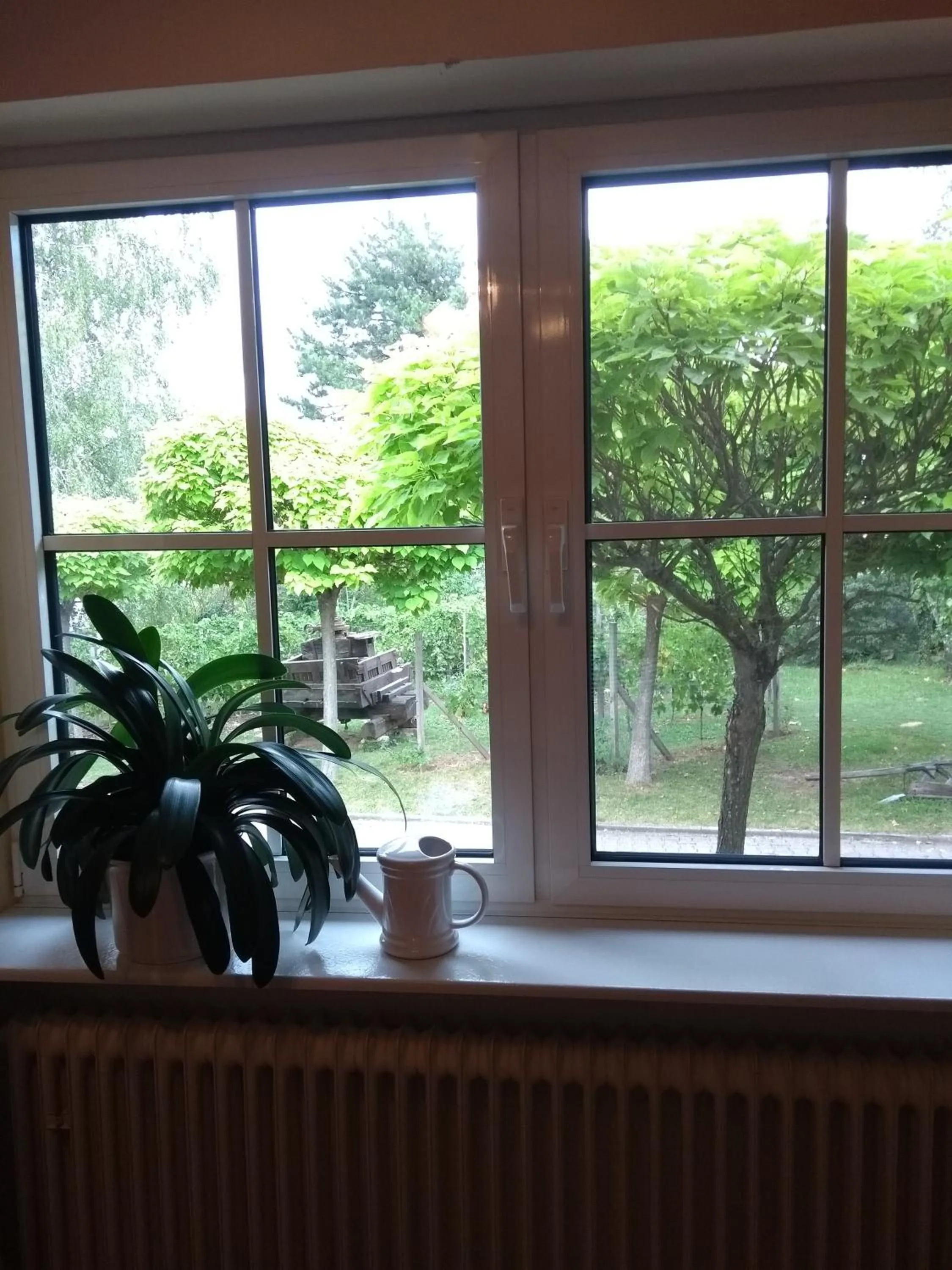 Garden view in Gästehaus Eschment