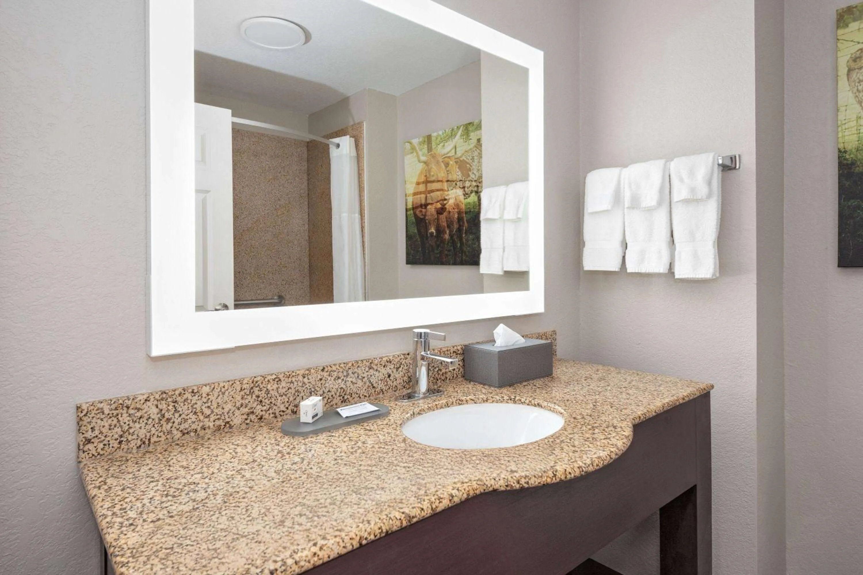 Bathroom in La Quinta by Wyndham Alvarado