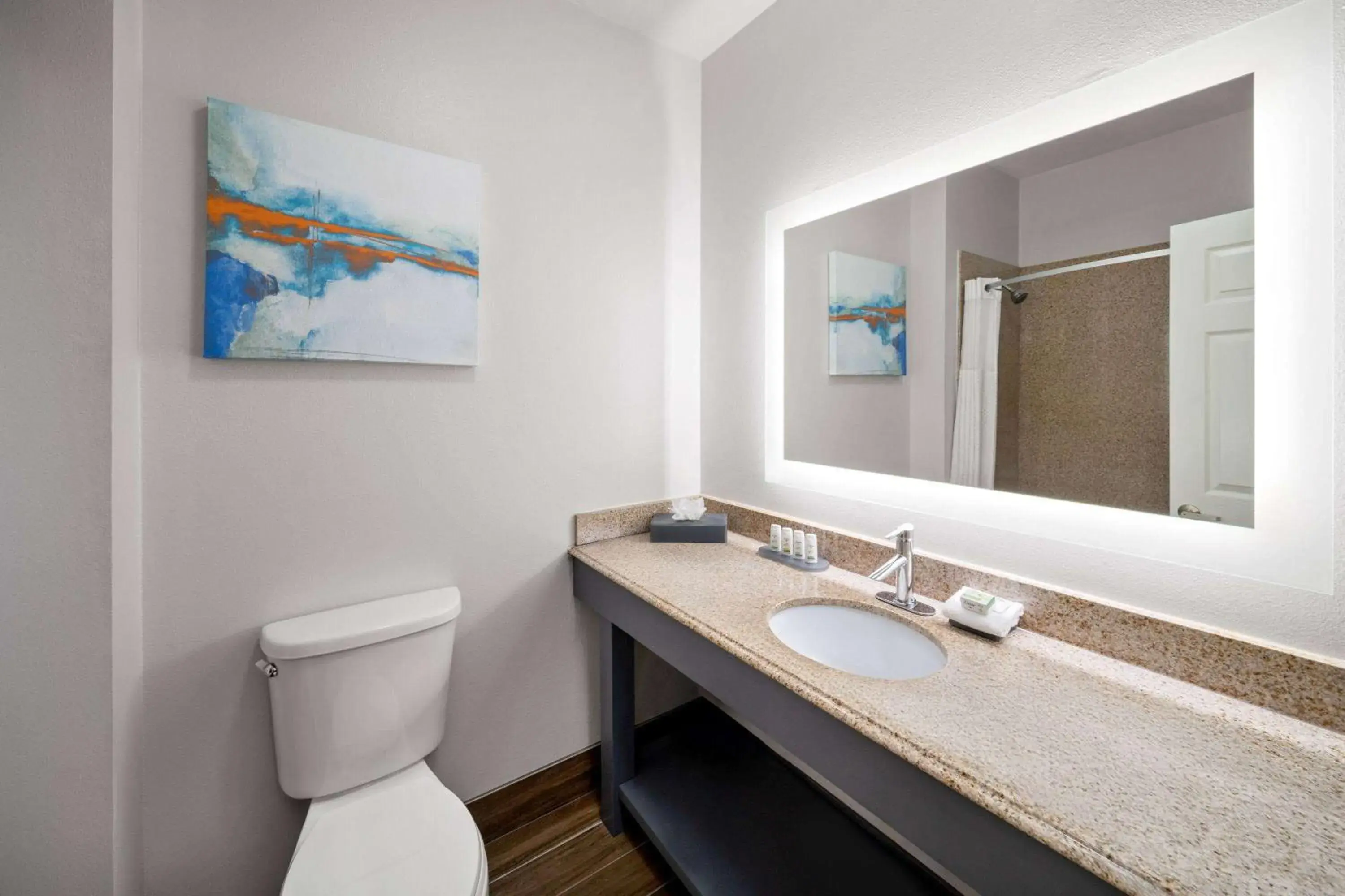 Bathroom in La Quinta by Wyndham Angleton Bathroom in La Quinta by Wyndham Angleton