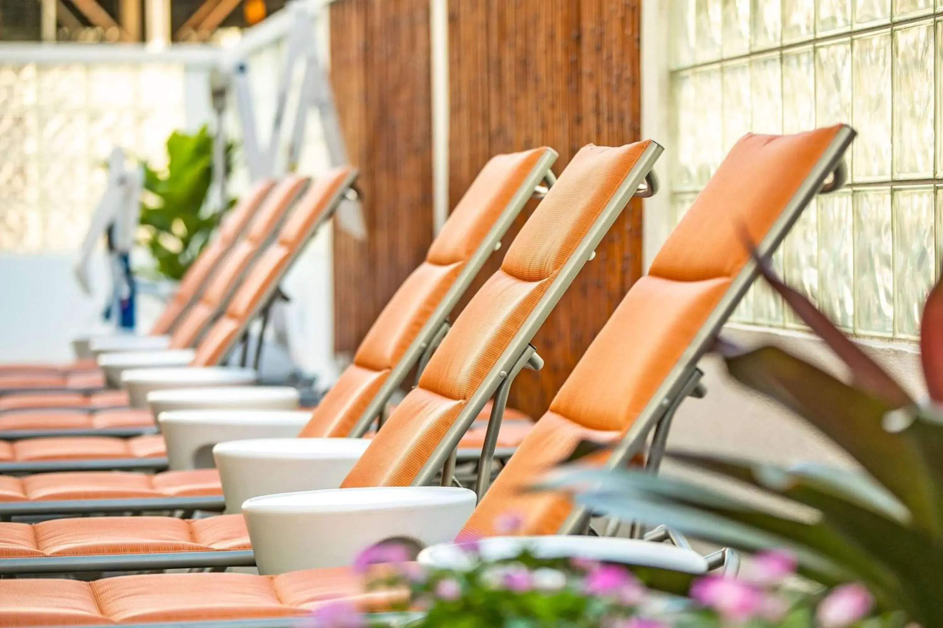 sunbed in Oasis Hotel Waikiki sunbed in Oasis Hotel Waikiki