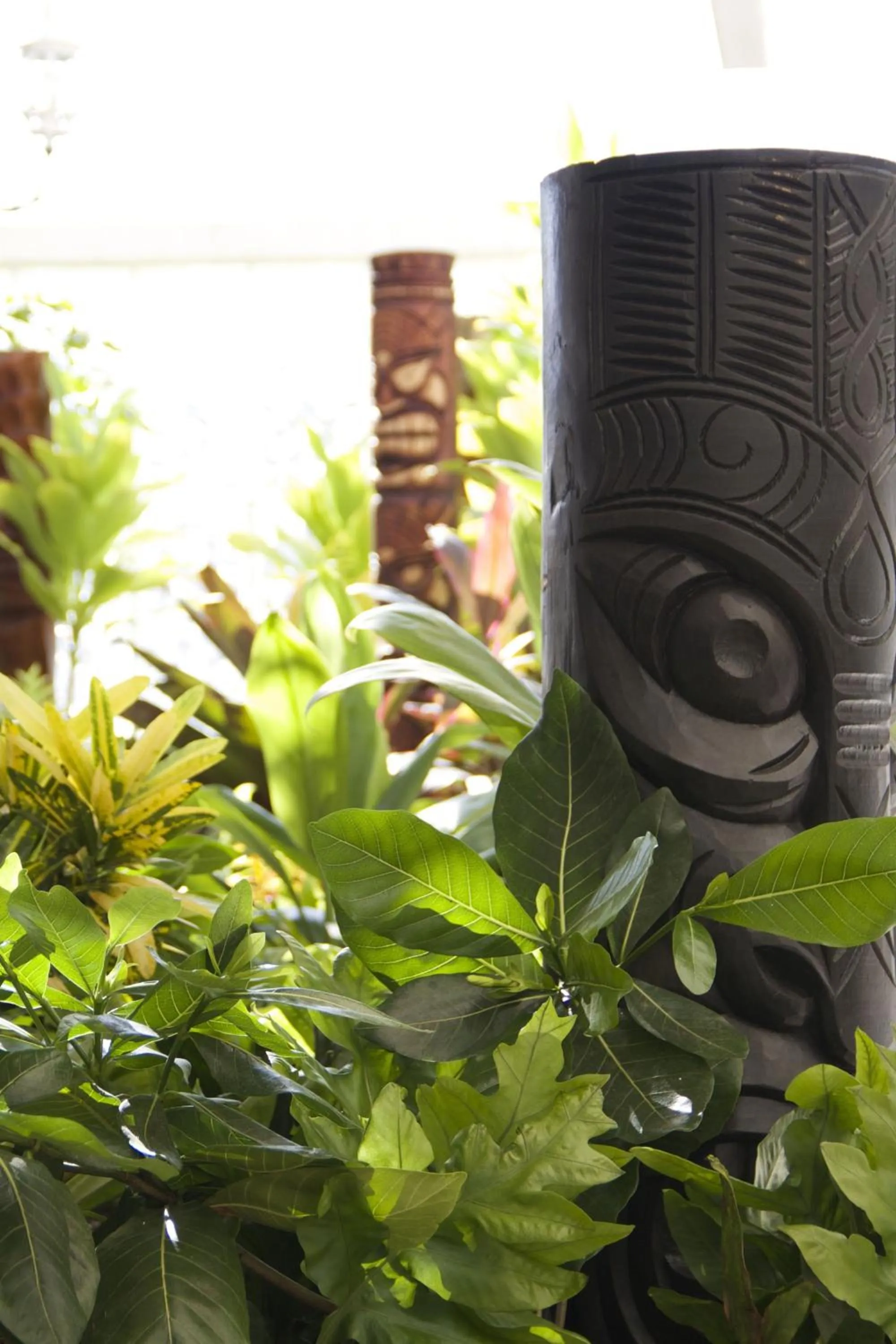 Garden in Oasis Hotel Waikiki